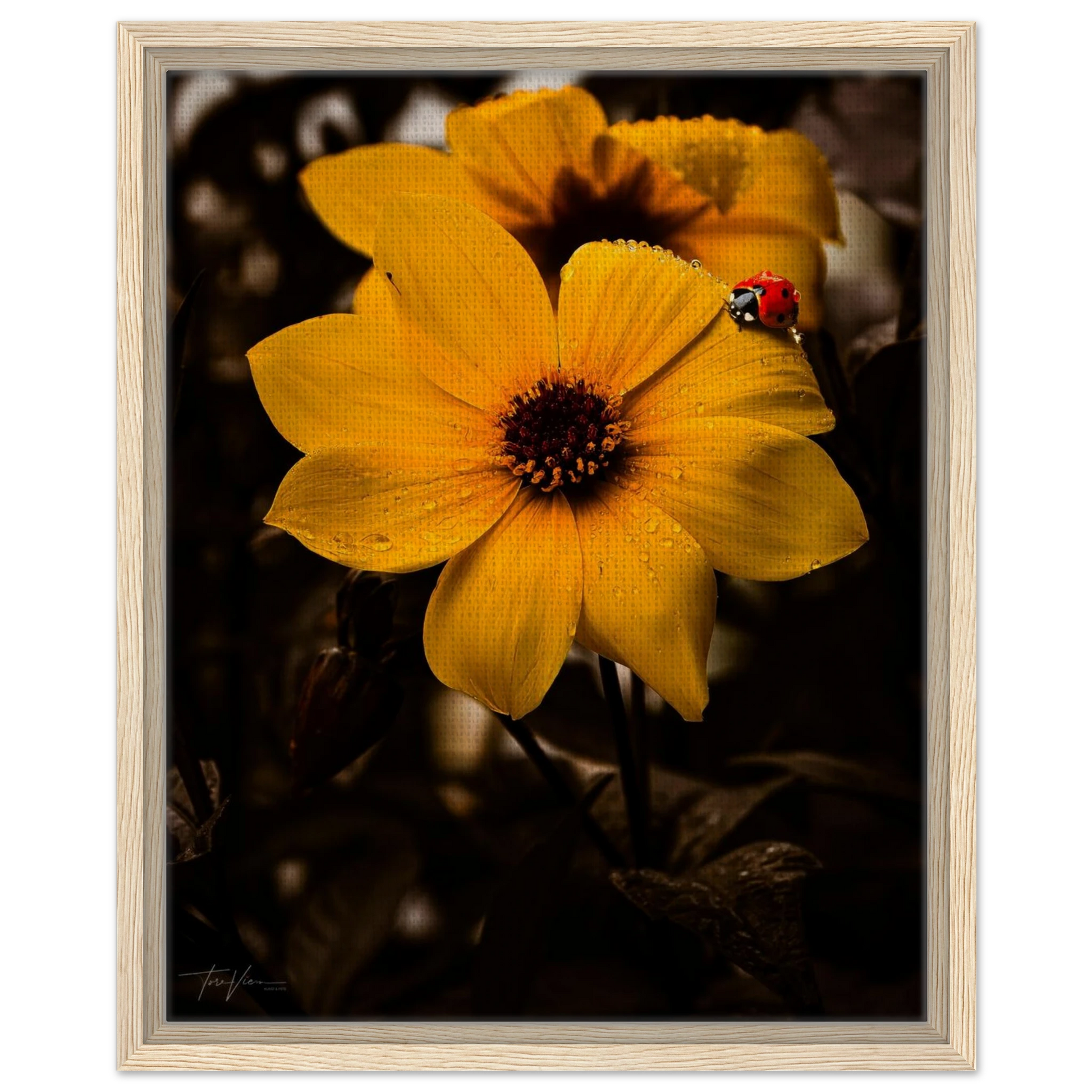 cb6677fc-1509-46cb-a062-2d647e4bfe74