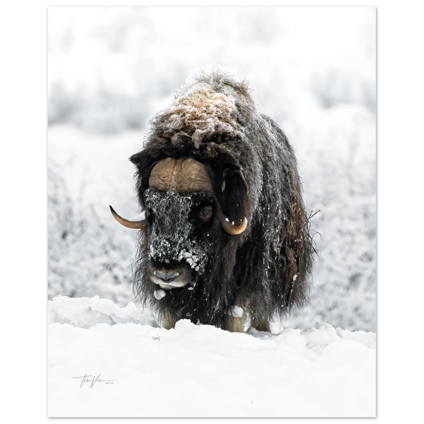 cb890f27-38ed-4fab-b47d-1161a877c98c