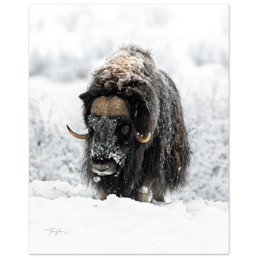 cb890f27-38ed-4fab-b47d-1161a877c98c