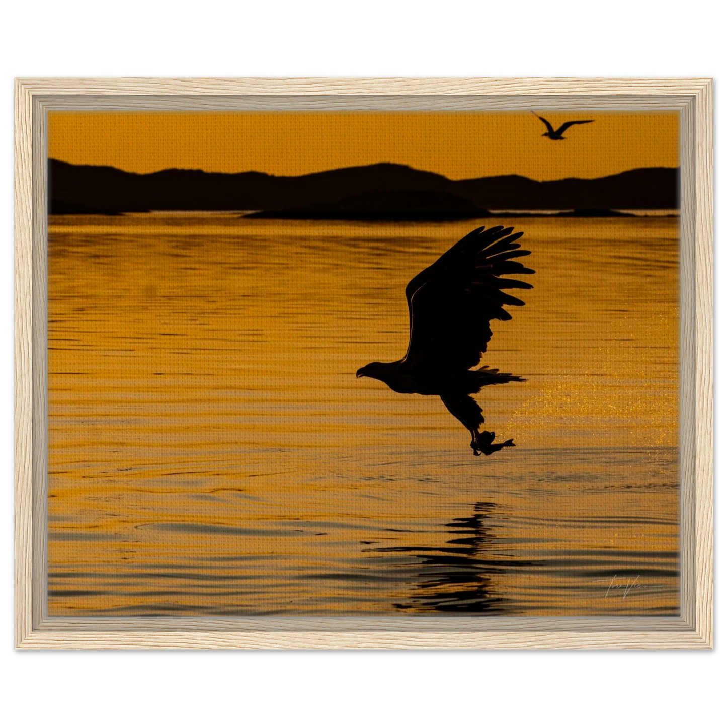 cba374cb-2b32-41f6-977e-65a3ad599656