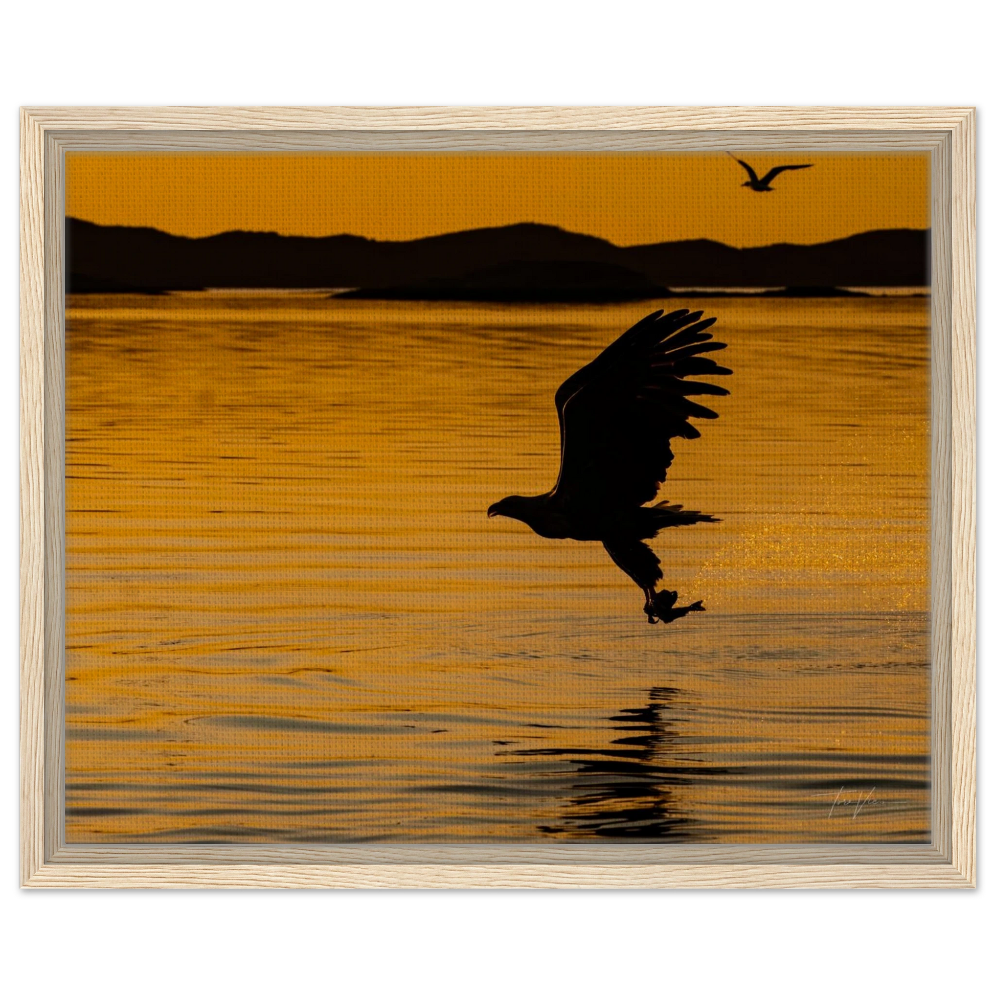 cba374cb-2b32-41f6-977e-65a3ad599656