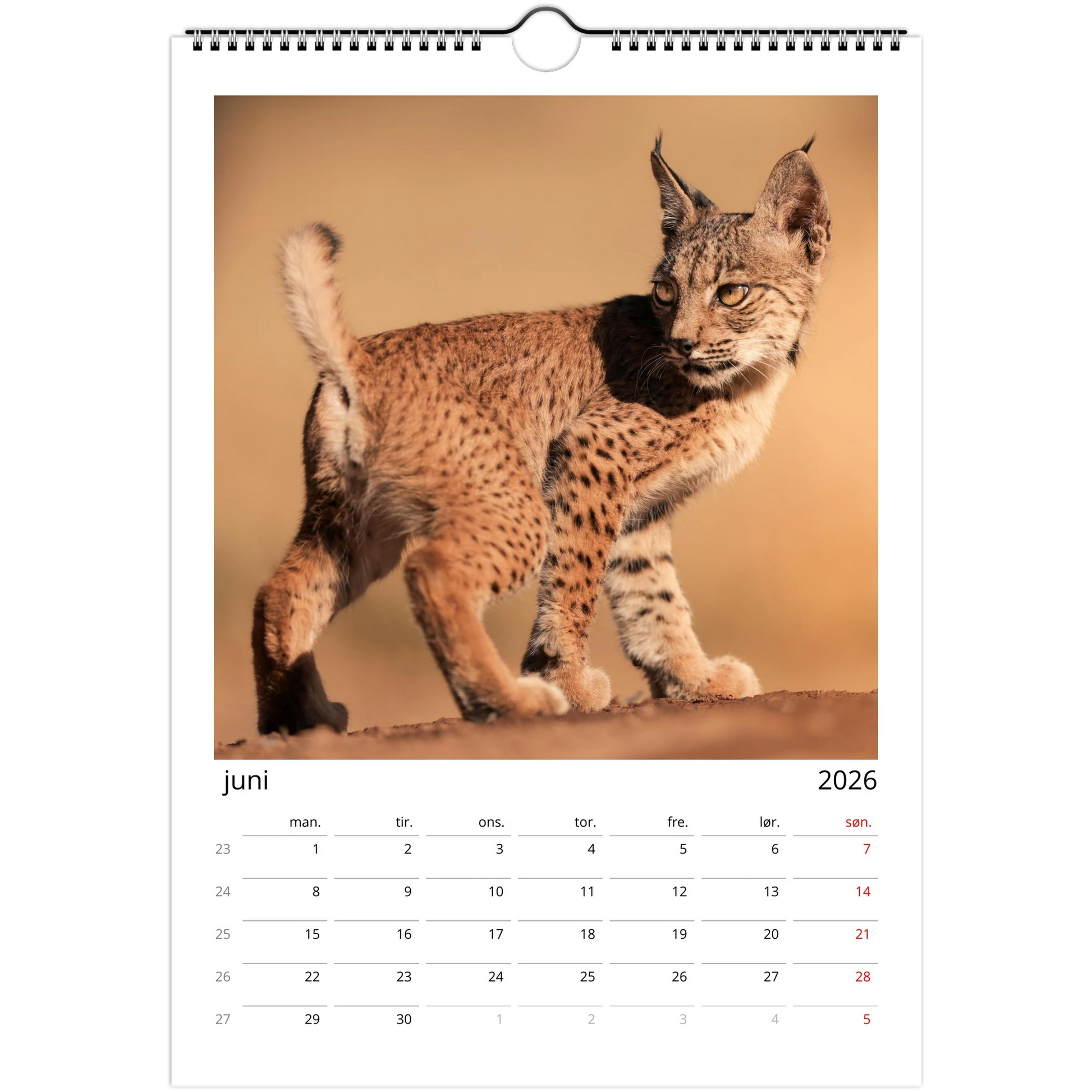 cc017212-d16d-444b-b1ef-63e2347ee081