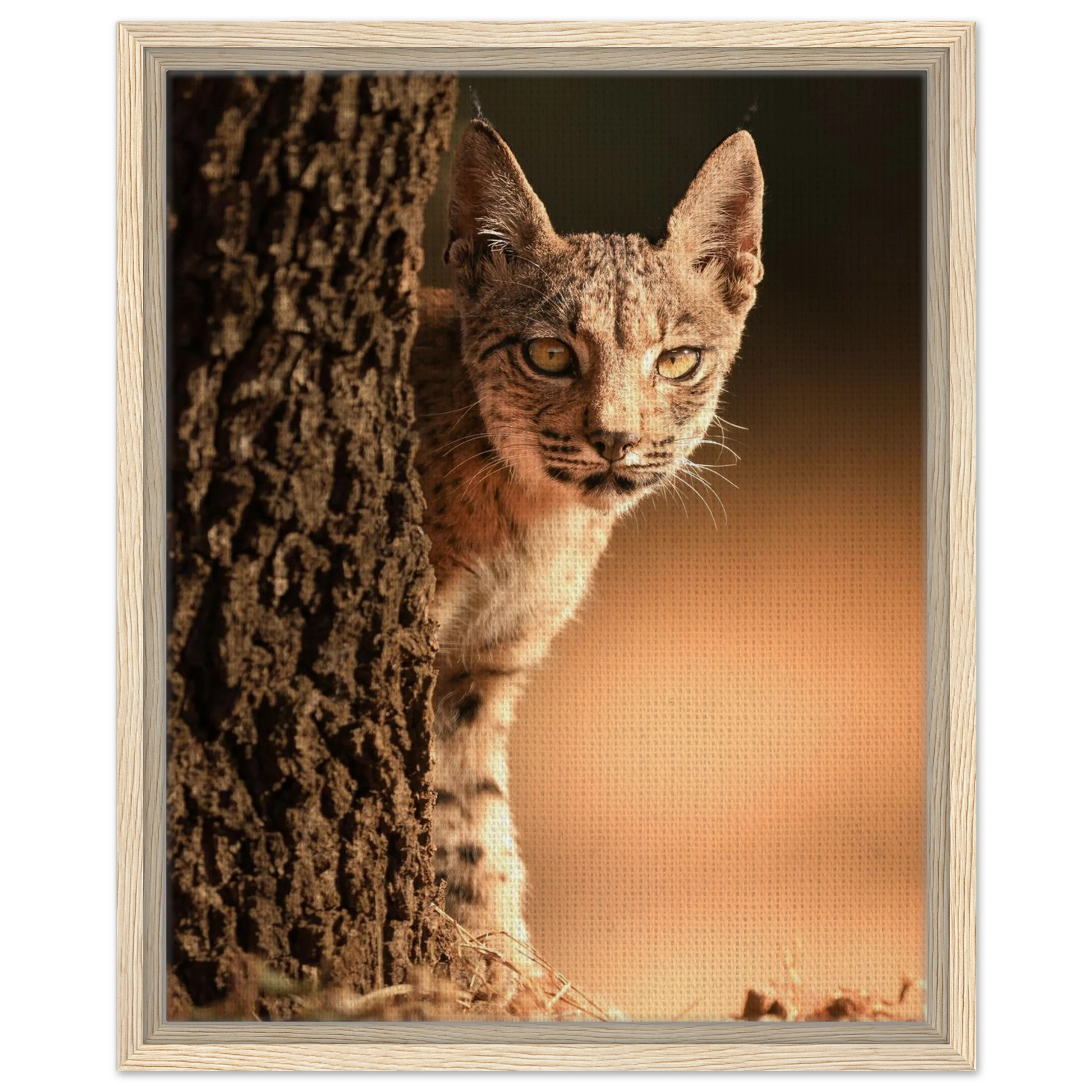 cc1b9cc9-f092-4228-a3c8-c99c82d94ee2