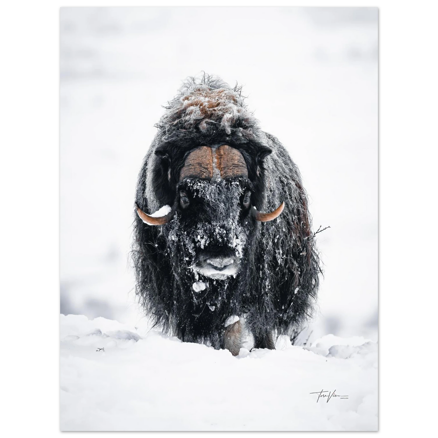 cc75eb7a-b425-4d03-802c-3bca3d82ab01