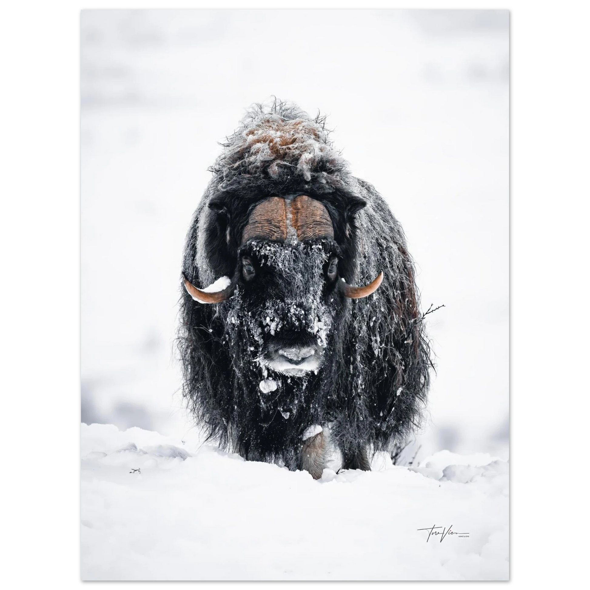 cc75eb7a-b425-4d03-802c-3bca3d82ab01