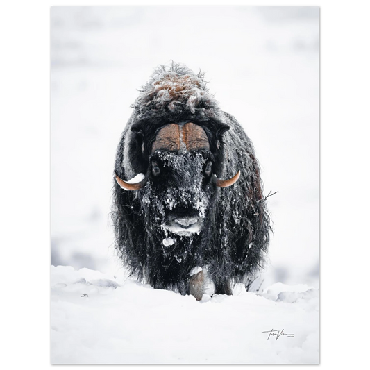 cc75eb7a-b425-4d03-802c-3bca3d82ab01