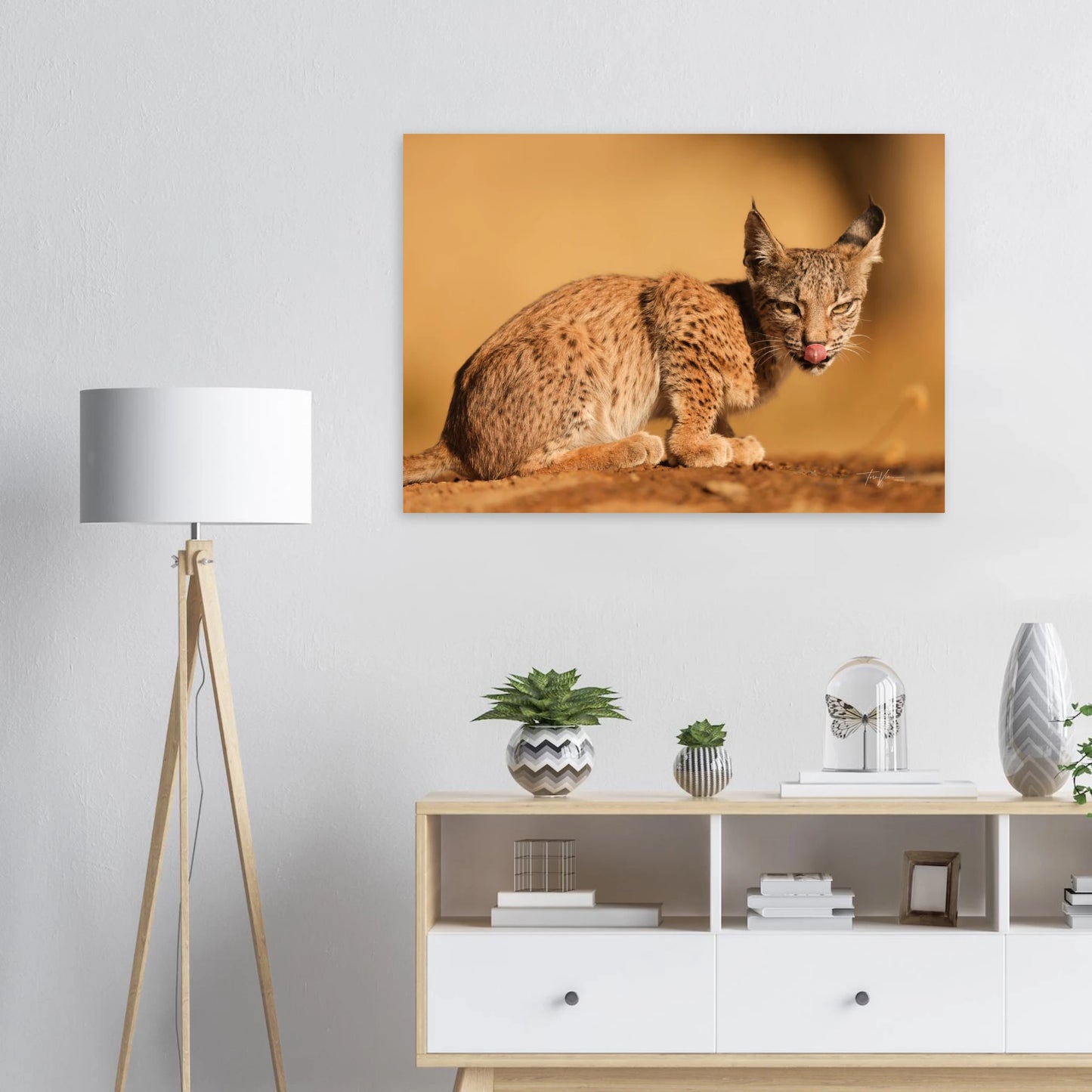 cc8a9e7f-8f7c-4907-a6c8-2fb3f909ea01