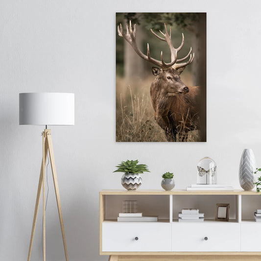 ccf51faa-3b44-423d-b88c-87b553d3c107