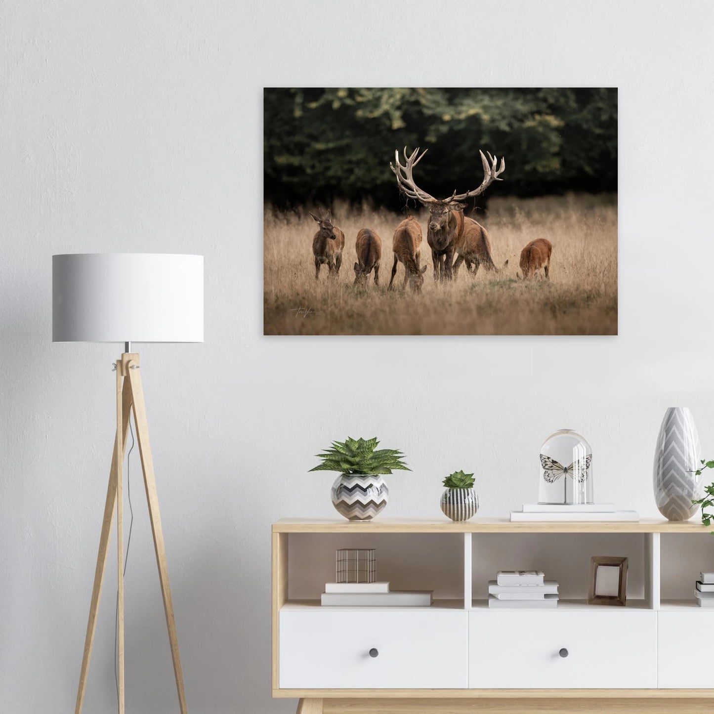 cd043949-d9fb-4d90-8dd1-f8721a885f3c