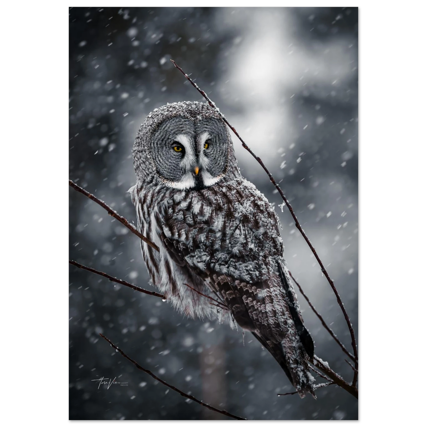 cdc30d9a-e221-469c-88e5-86736e5035dc