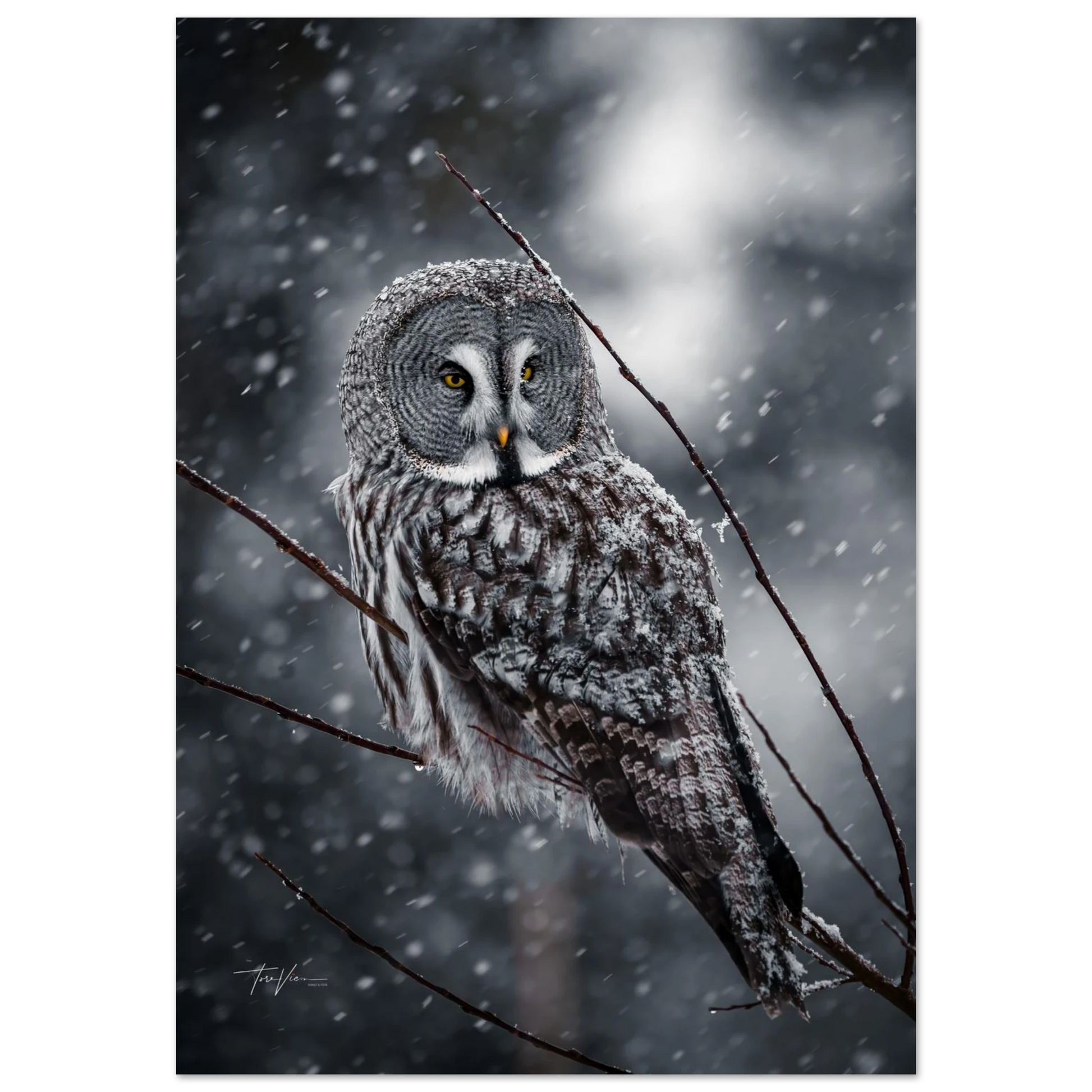 cdc30d9a-e221-469c-88e5-86736e5035dc