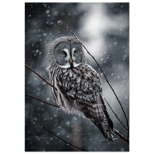 cdc30d9a-e221-469c-88e5-86736e5035dc