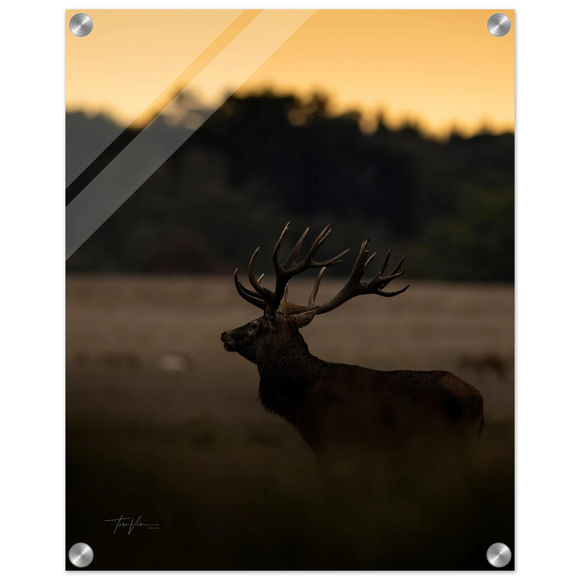 cf5c6bb2-d014-4cd5-a4ca-d91ab8d2c1f9