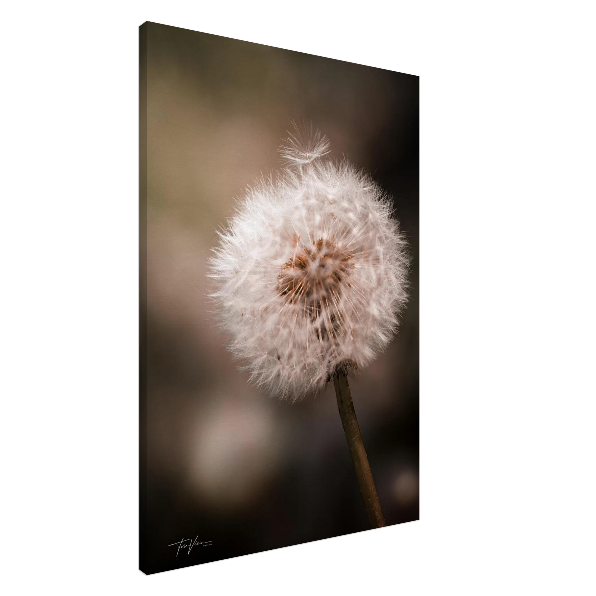 cfb746fd-f32a-4374-89a2-2fab73d10239