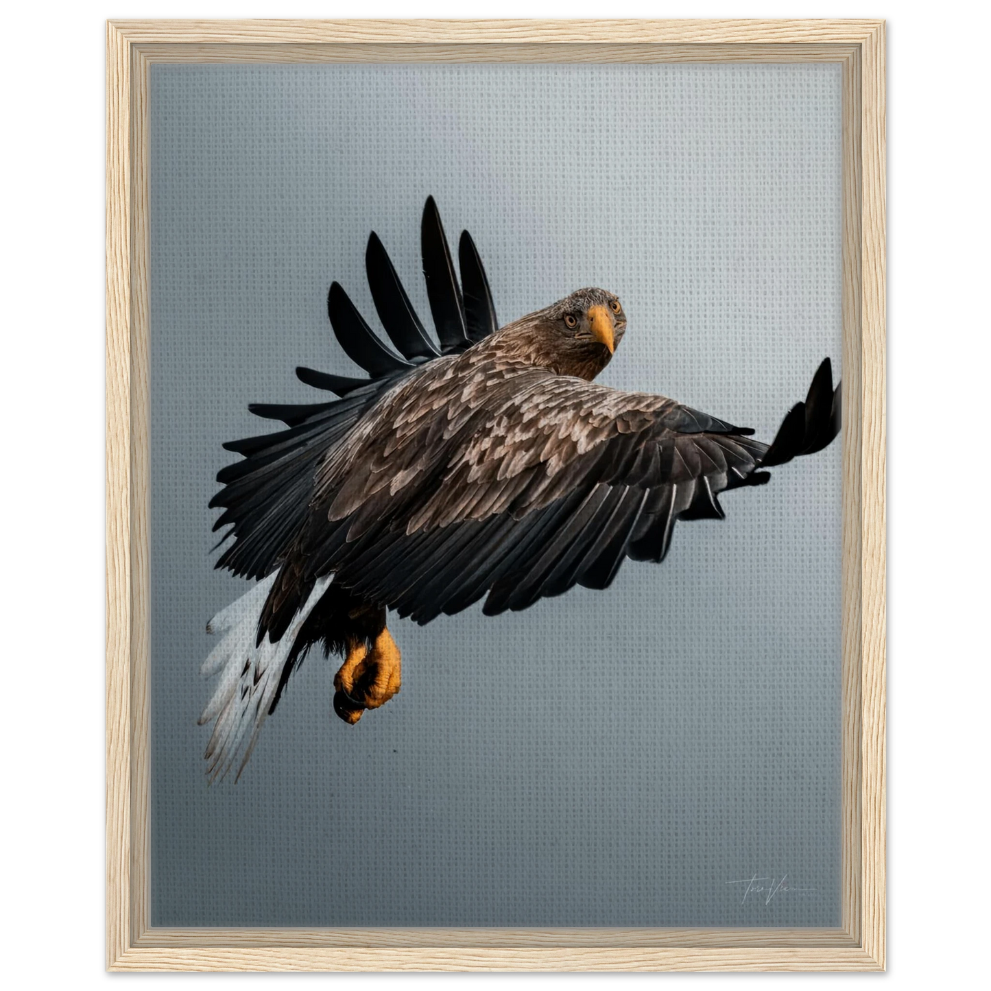 cfe4432f-c6fb-417f-89c6-f1d3dc72041a