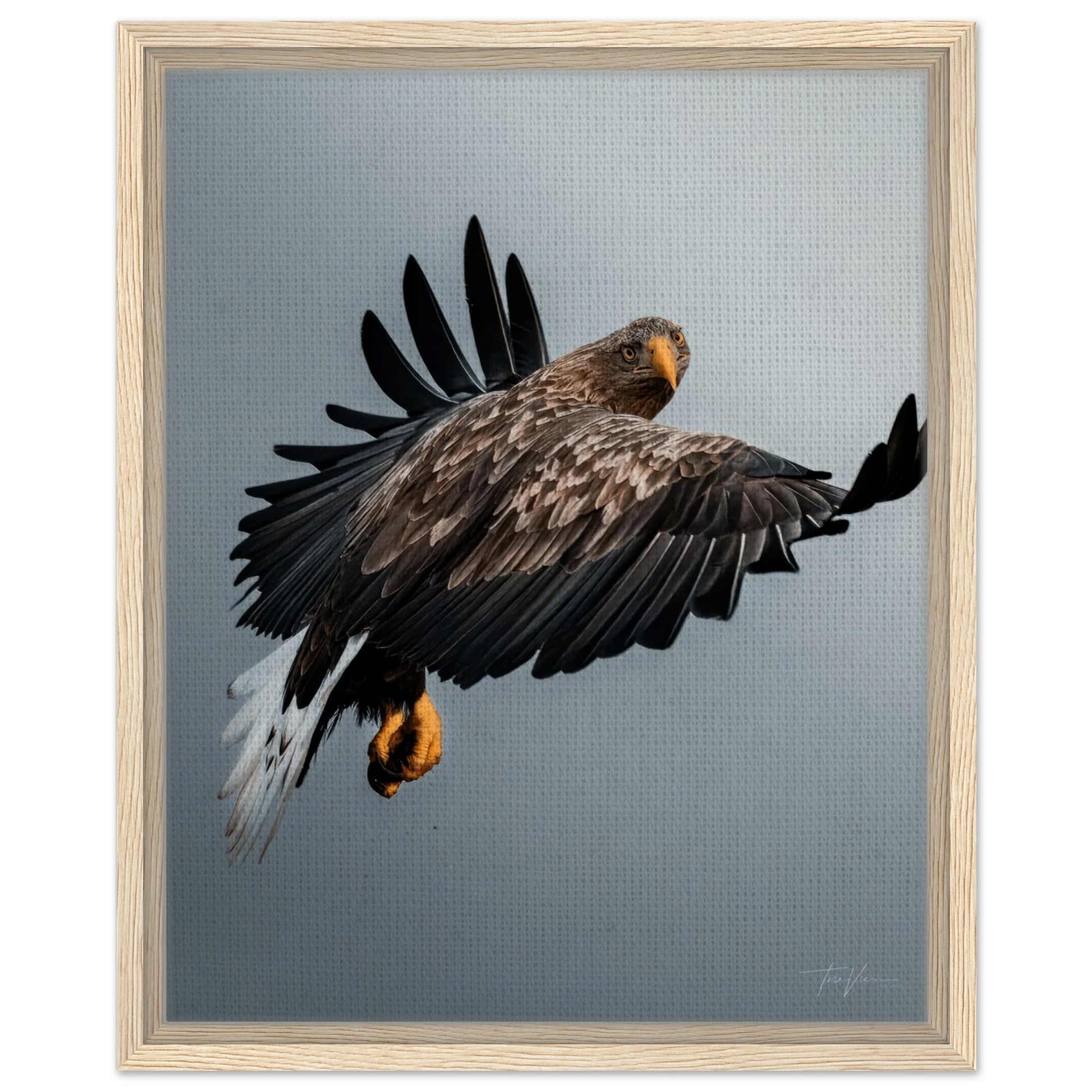 cfe4432f-c6fb-417f-89c6-f1d3dc72041a