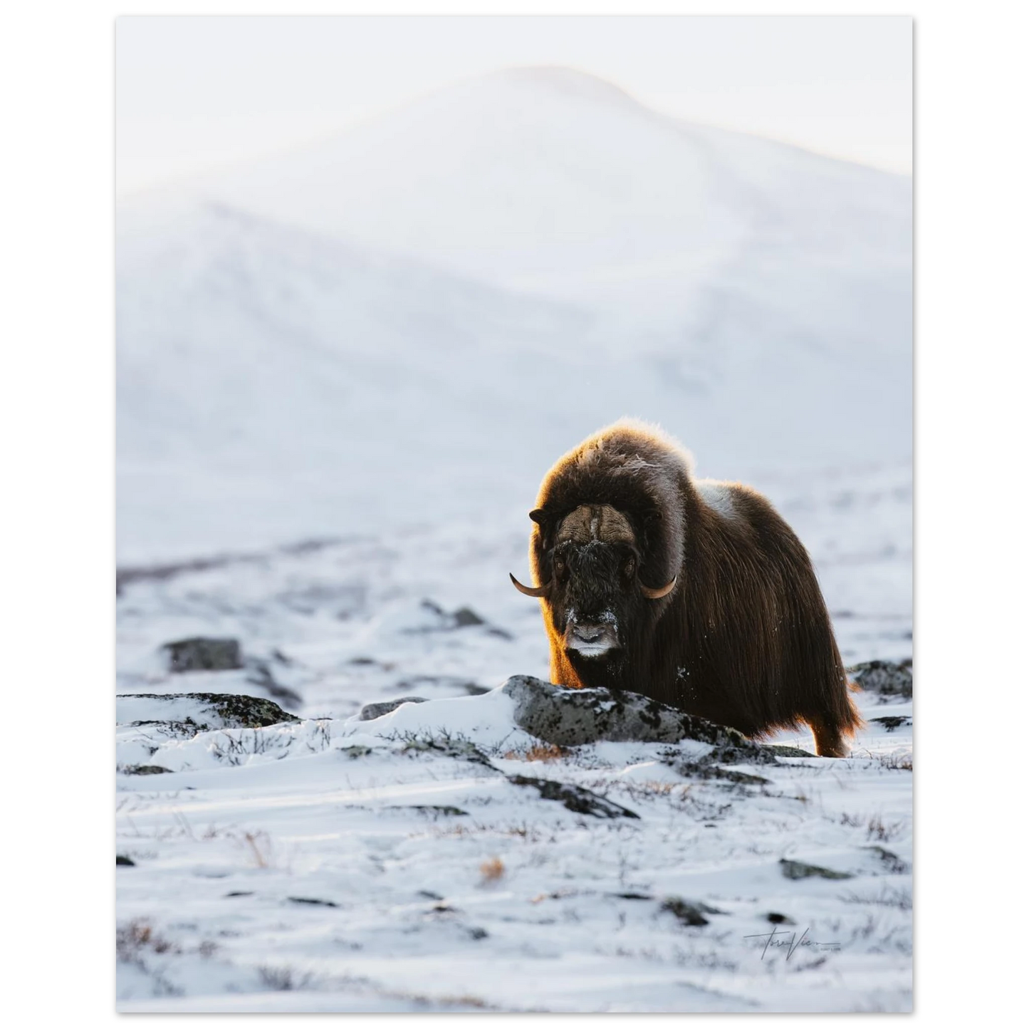 d022bfe1-0604-4609-b126-9c6e4516956b