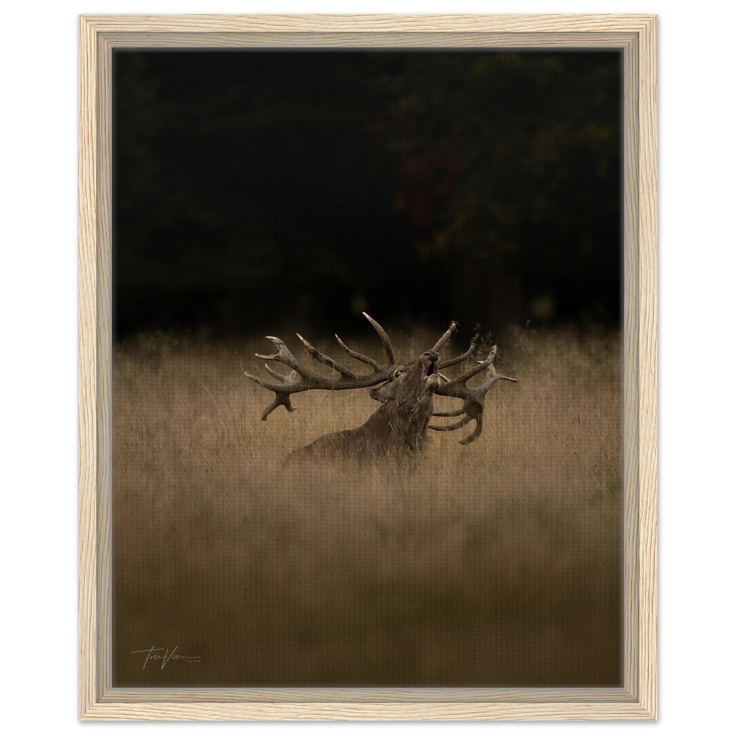 d12624b5-b340-47a8-9aca-c90407e0d833