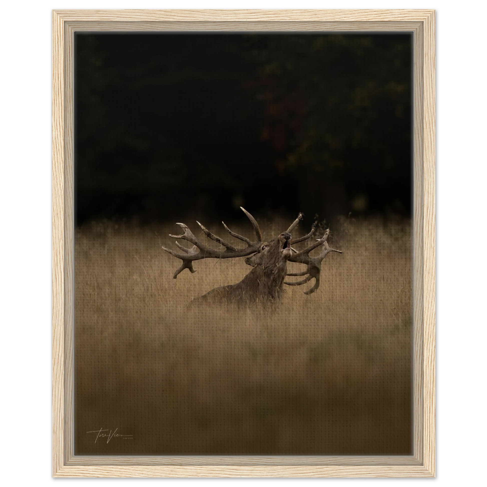 d12624b5-b340-47a8-9aca-c90407e0d833