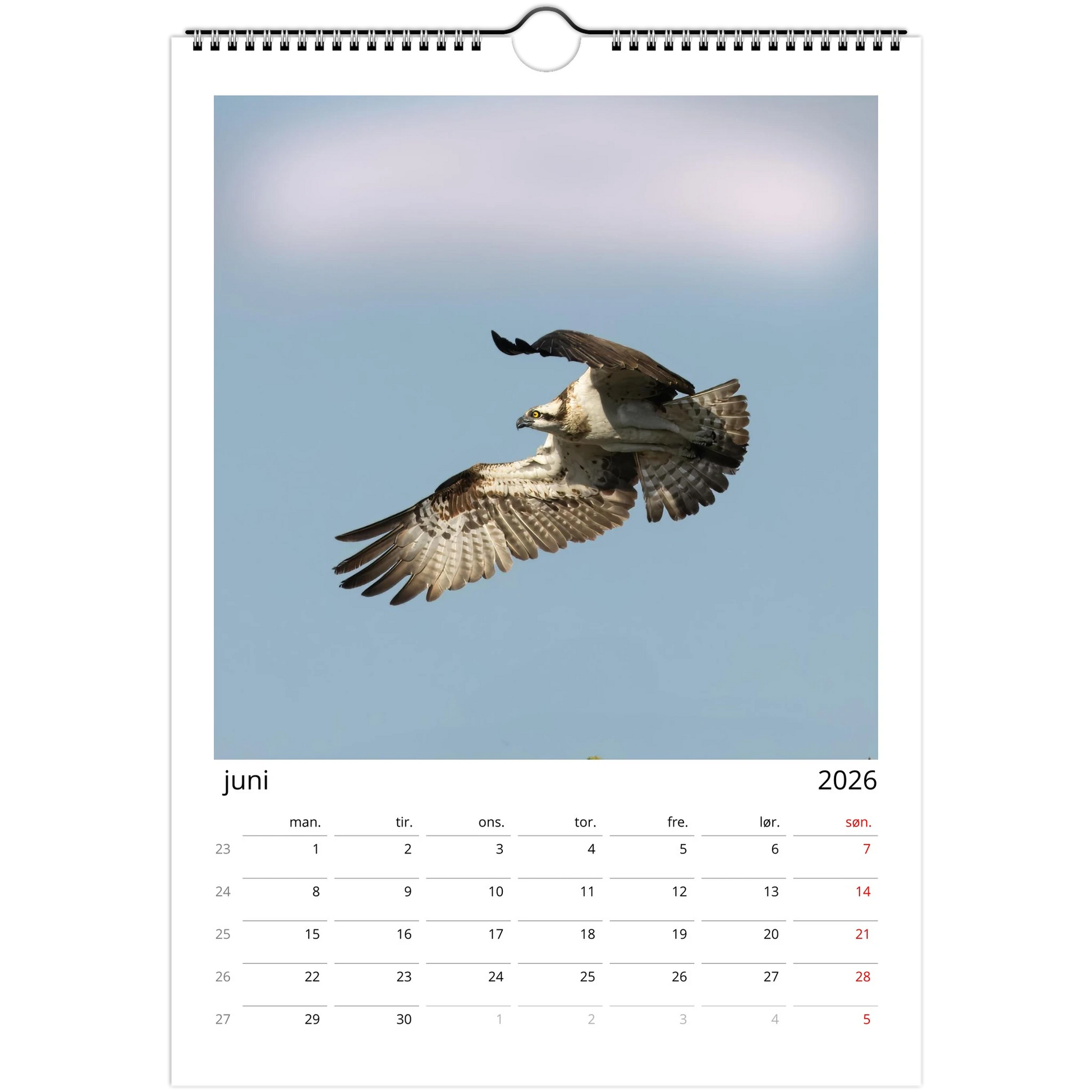 d2851ecf-f0a9-4c1c-b798-ff6d09665b66