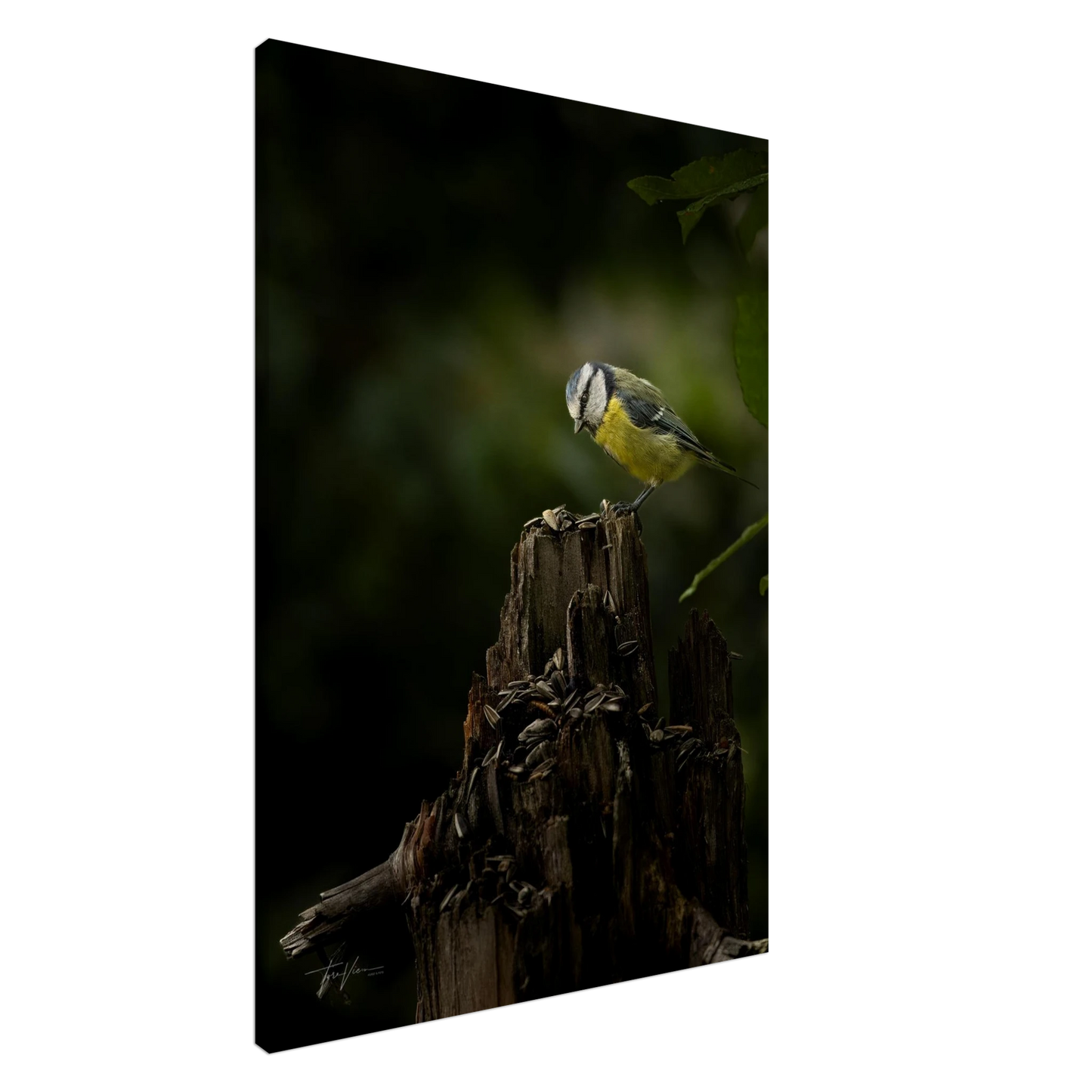 d5183f94-ec1e-4bd0-8d95-e069028eb1d0