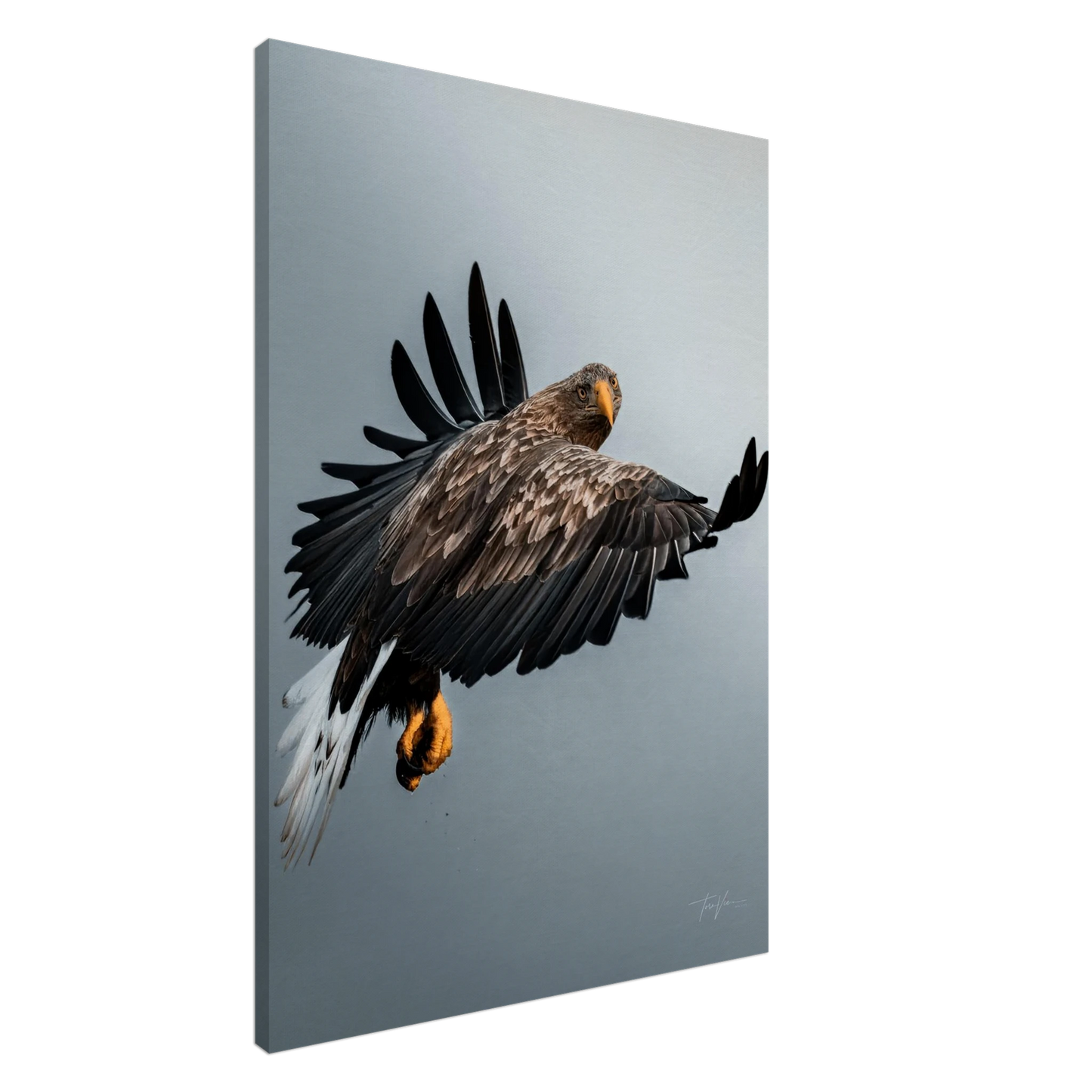 d800853e-c323-4edc-a898-cbef9369e1fc