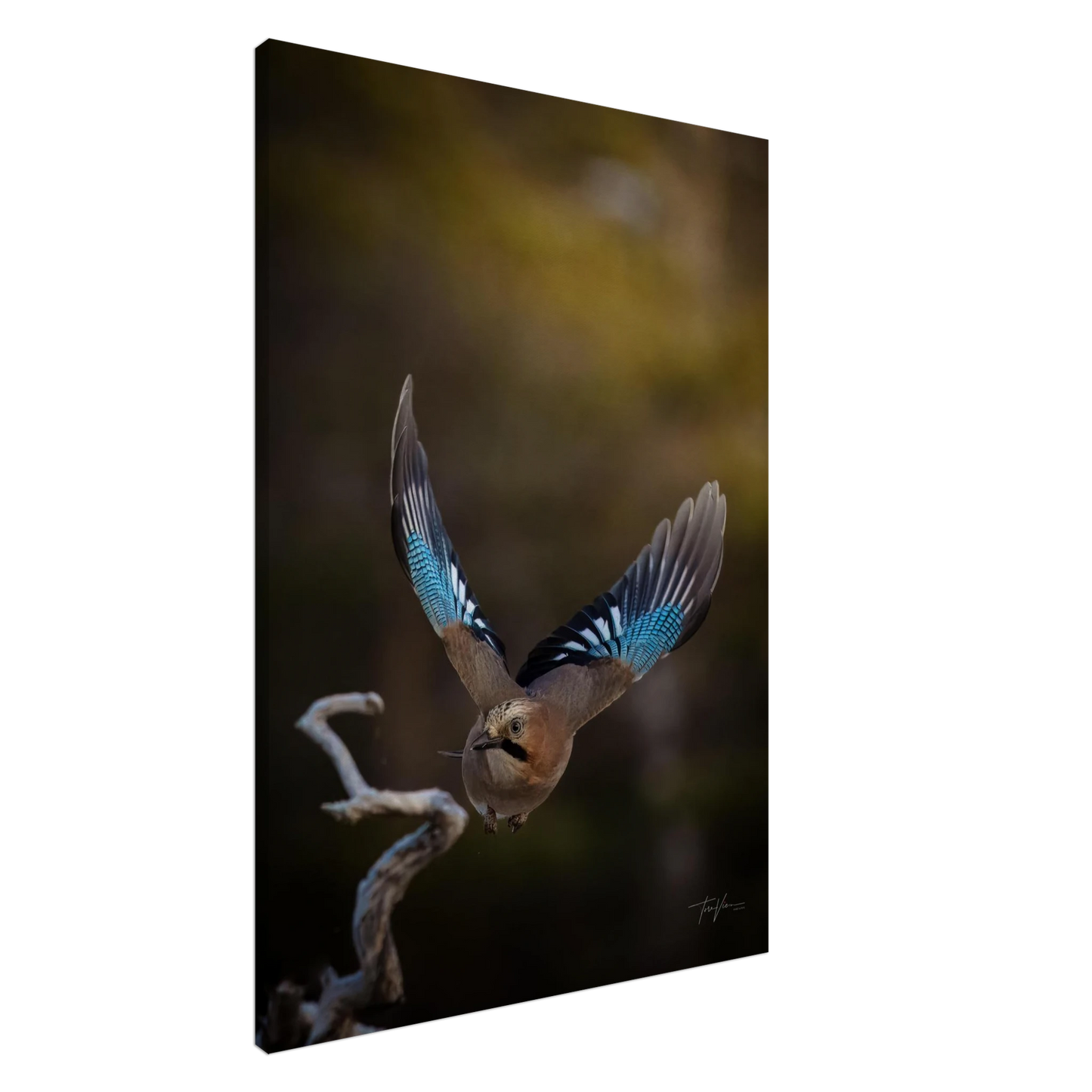 d87b3d99-ff29-4376-94c3-a845732dd6c3