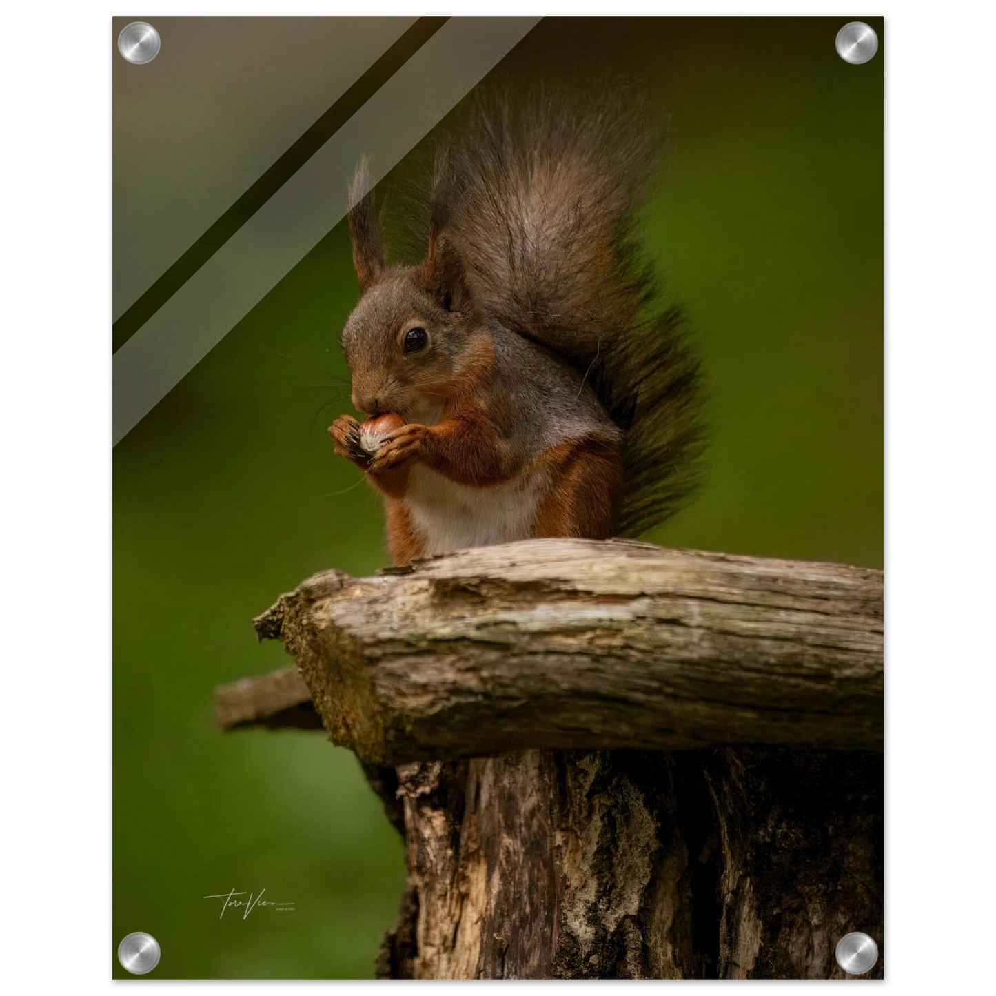 d8fe869d-6768-4c5a-9fce-499fae53cab7