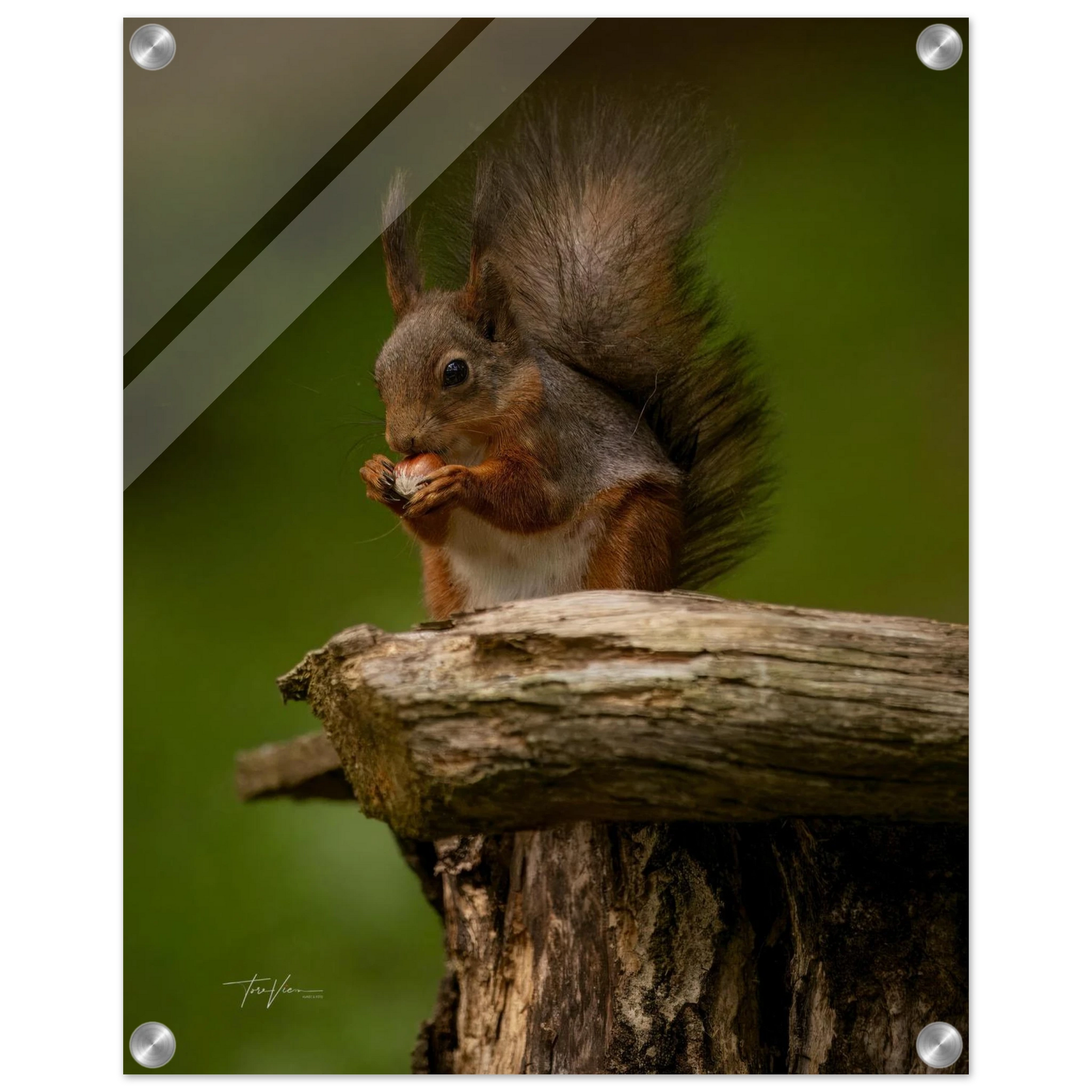 d8fe869d-6768-4c5a-9fce-499fae53cab7