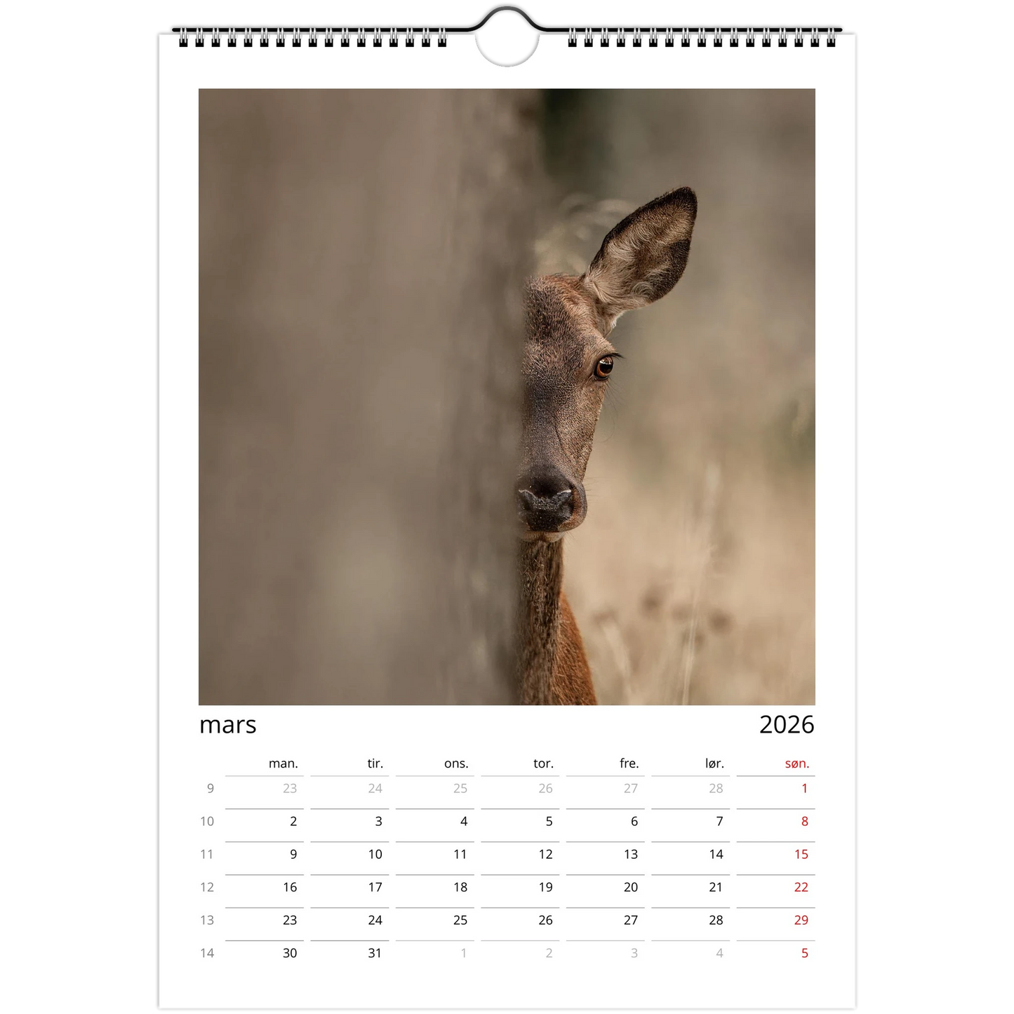 d9ebc076-36bc-41b7-85a8-8c0661b42d24