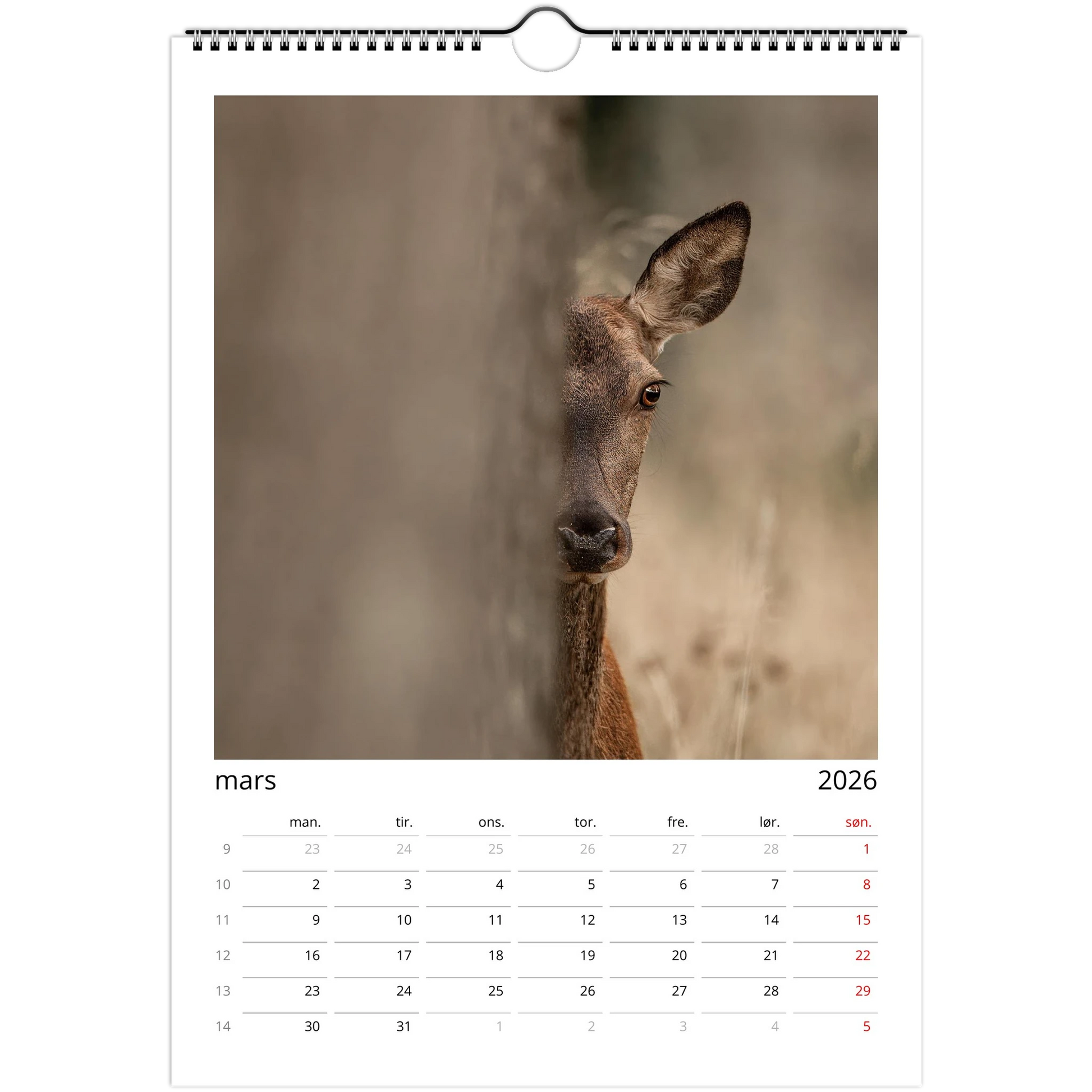 d9ebc076-36bc-41b7-85a8-8c0661b42d24