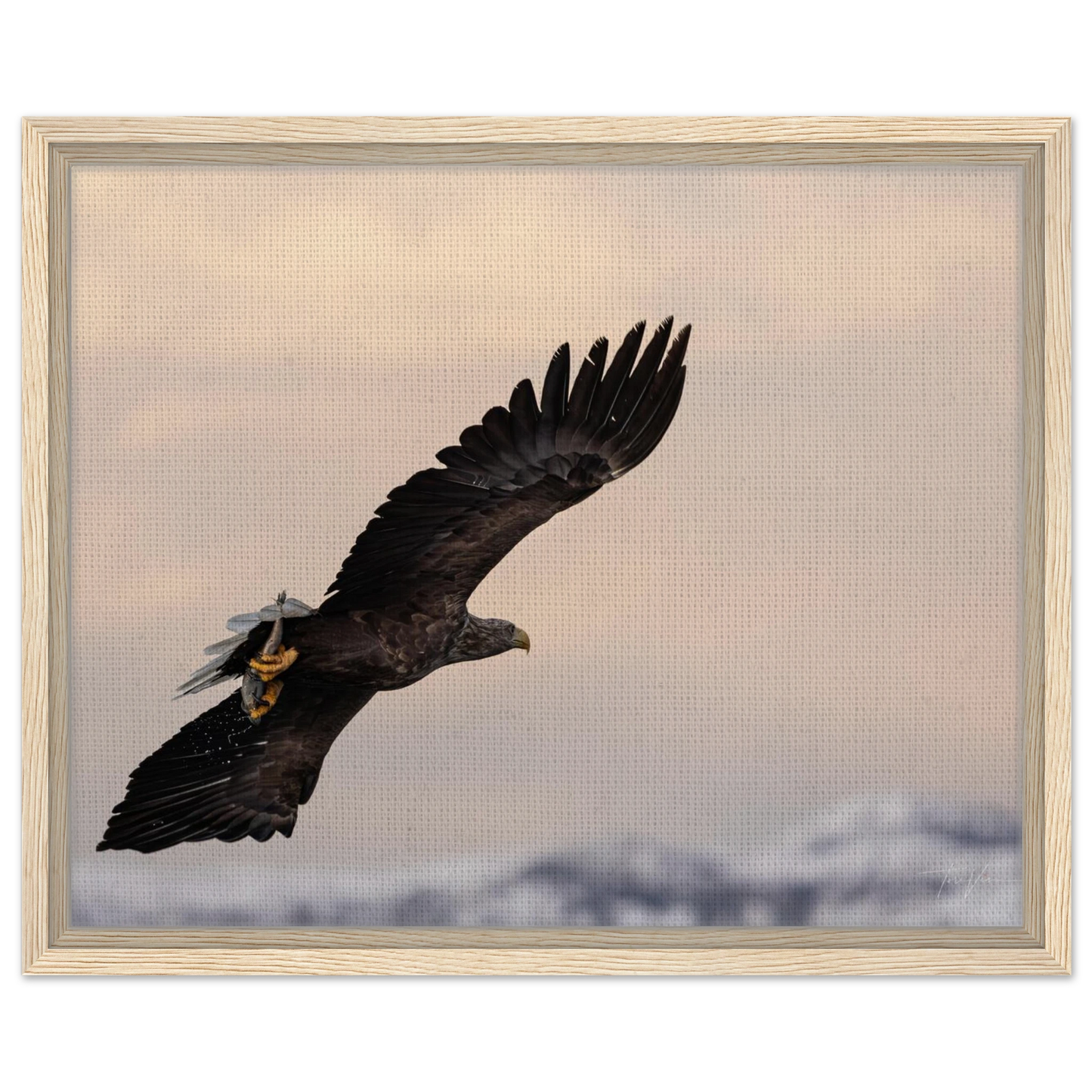 d9f2cf27-0b06-4ebb-b430-c83712f5026f