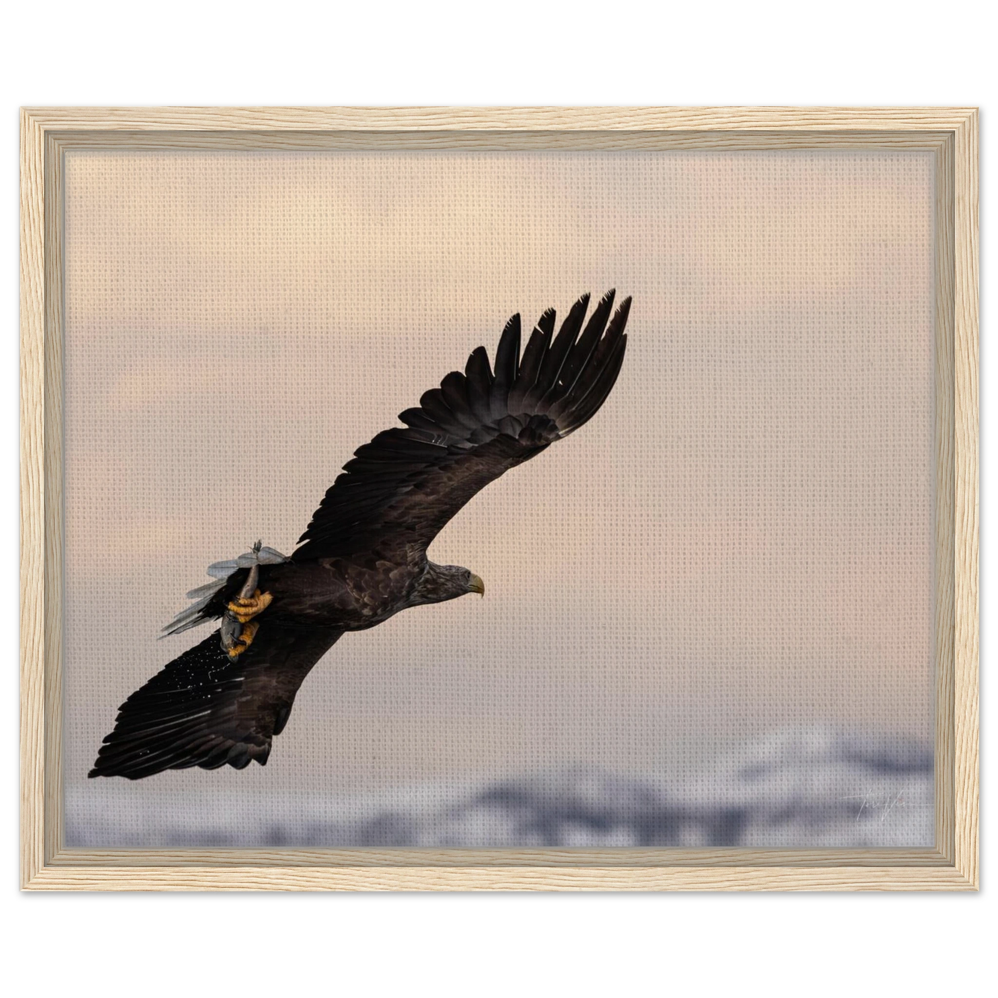 d9f2cf27-0b06-4ebb-b430-c83712f5026f