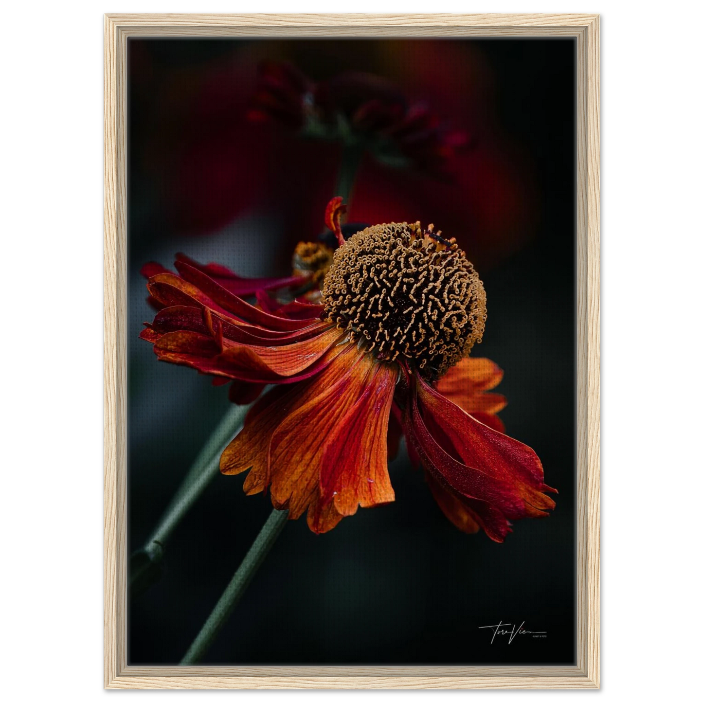 da23de32-9dcc-44f4-94b1-d1ec0636d265