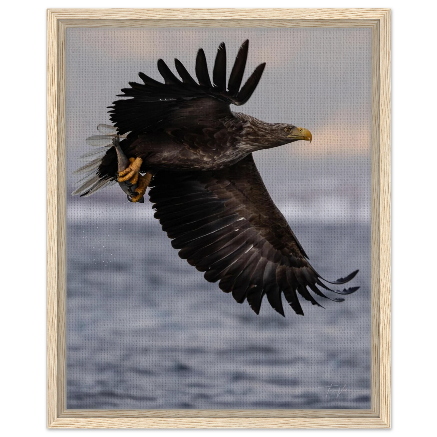 dc0fd1a6-532a-4669-b51f-42fbd8ee502b