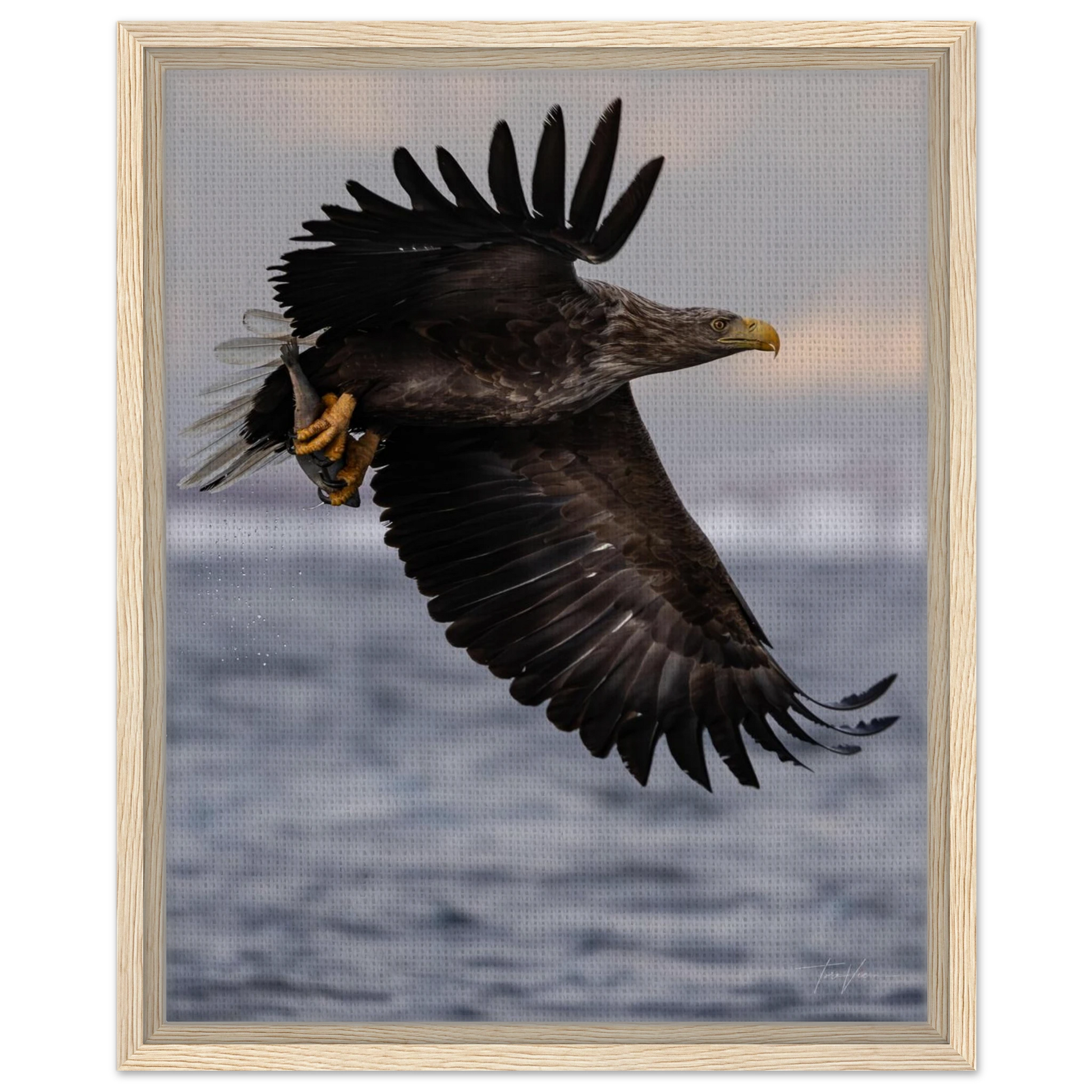 dc0fd1a6-532a-4669-b51f-42fbd8ee502b