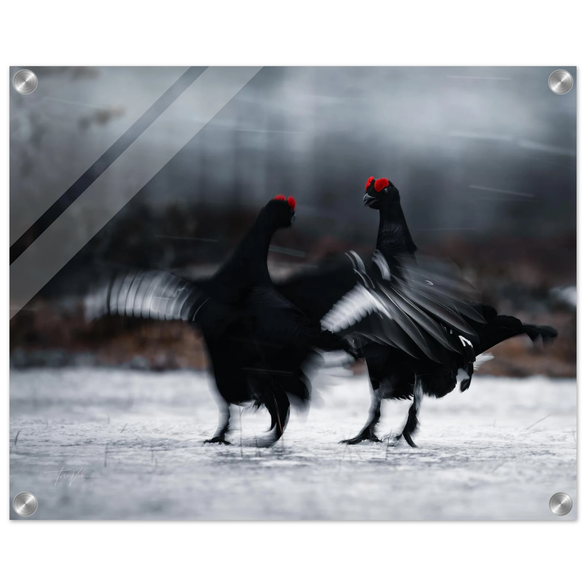 dc4d51d8-1ab3-42d5-bdc0-07252a92a73d