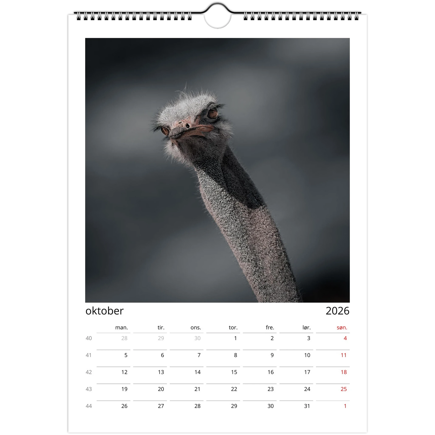 dc8ac6e6-5b13-4e65-8bda-b99d3cf8c5dc