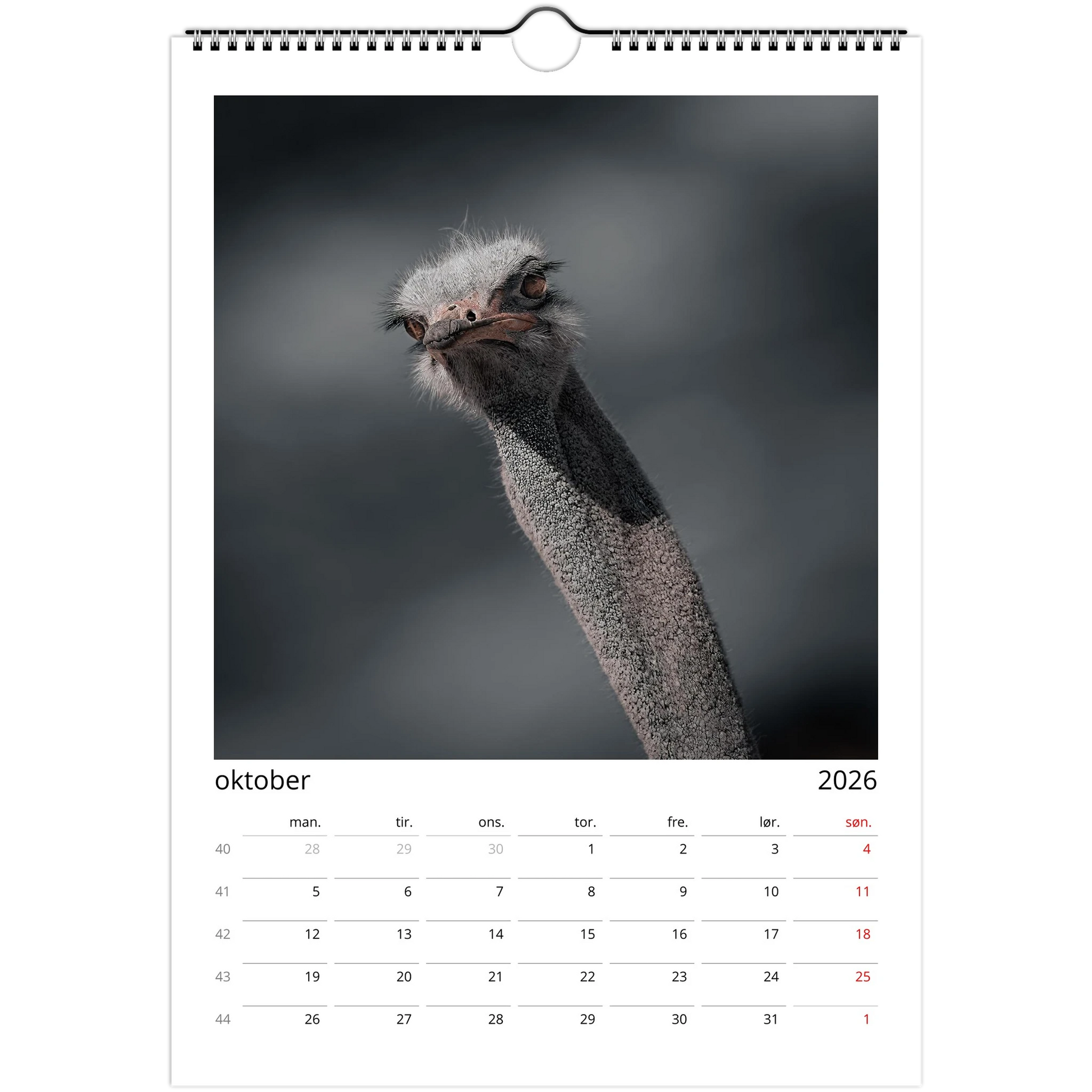 dc8ac6e6-5b13-4e65-8bda-b99d3cf8c5dc