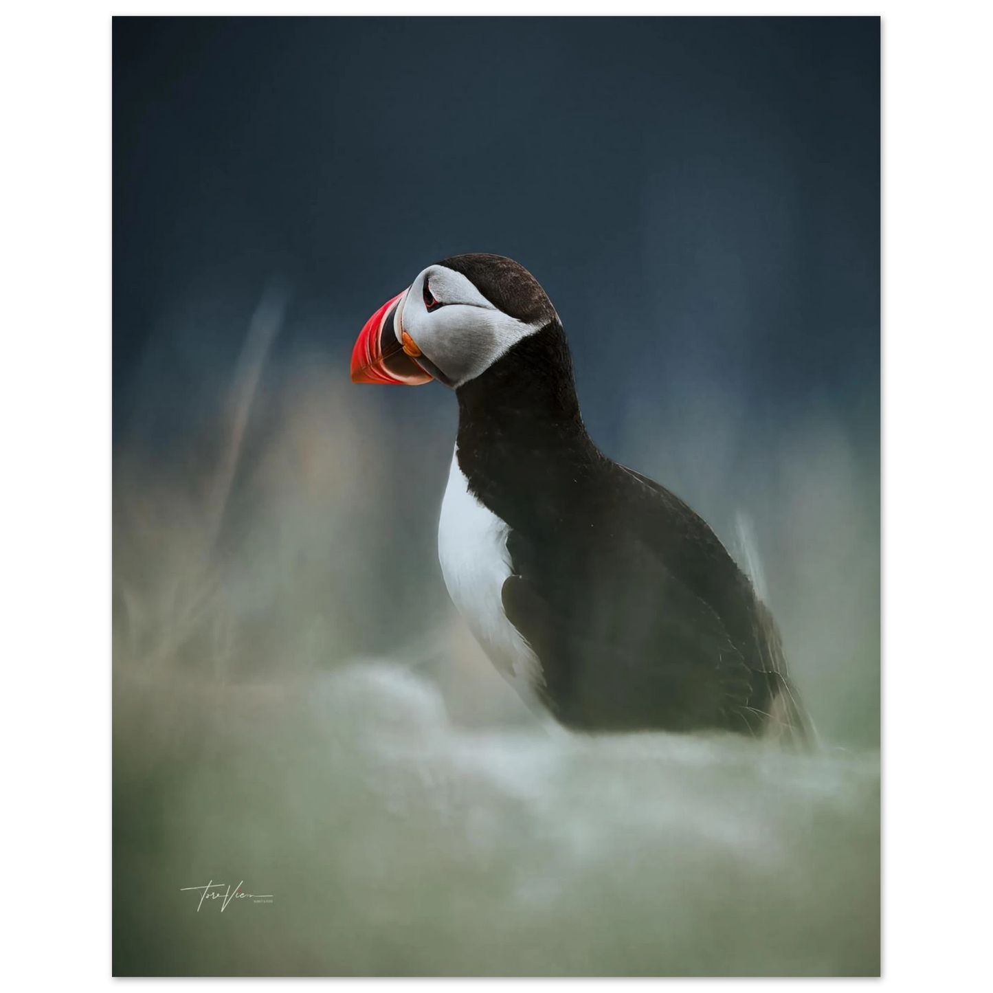 dd45271a-dcf9-4c3e-857c-b117ddc1115c