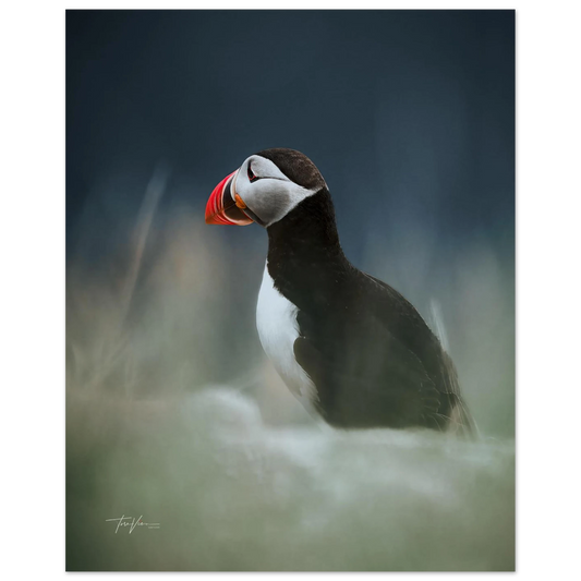 dd45271a-dcf9-4c3e-857c-b117ddc1115c