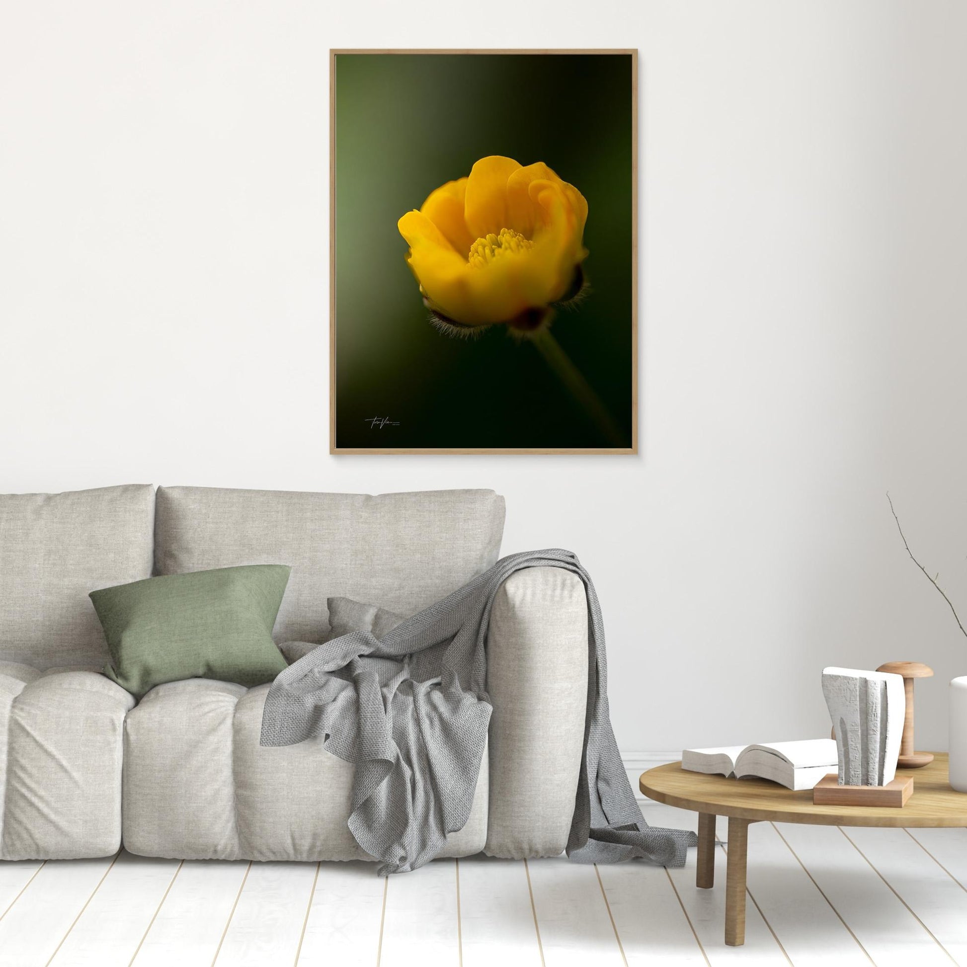 Smørblomst 001