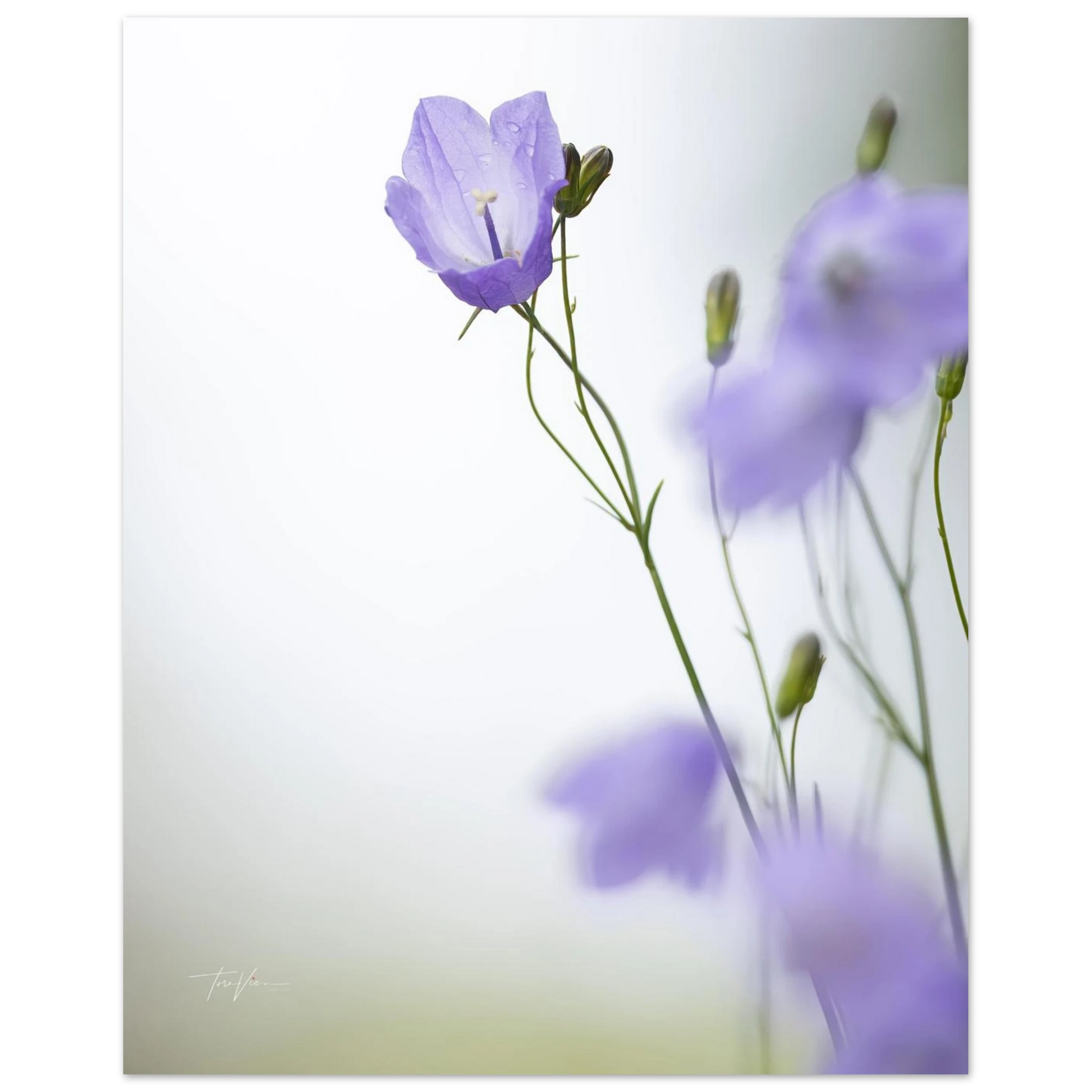 dd834aa5-6499-49a8-83e4-a3c518a9f837