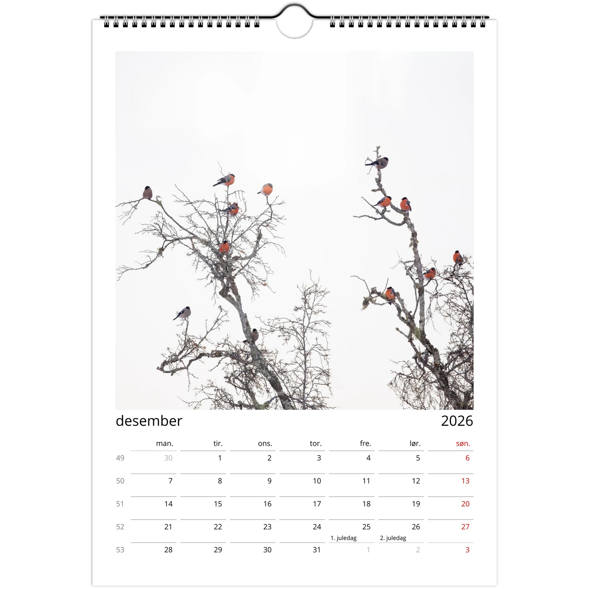 ddf5ba11-97ba-41d1-8ec7-32a48d932128