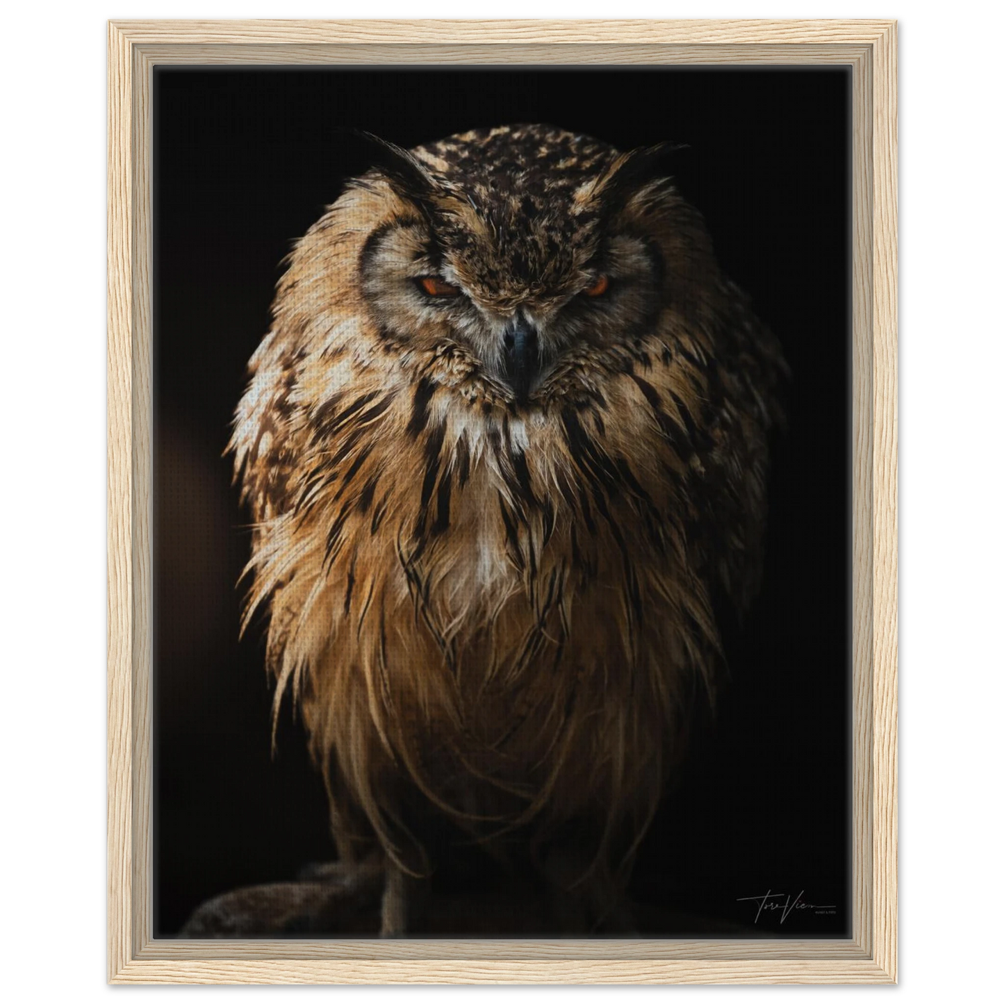 de08f51b-198a-4554-bf8c-d7811293806e