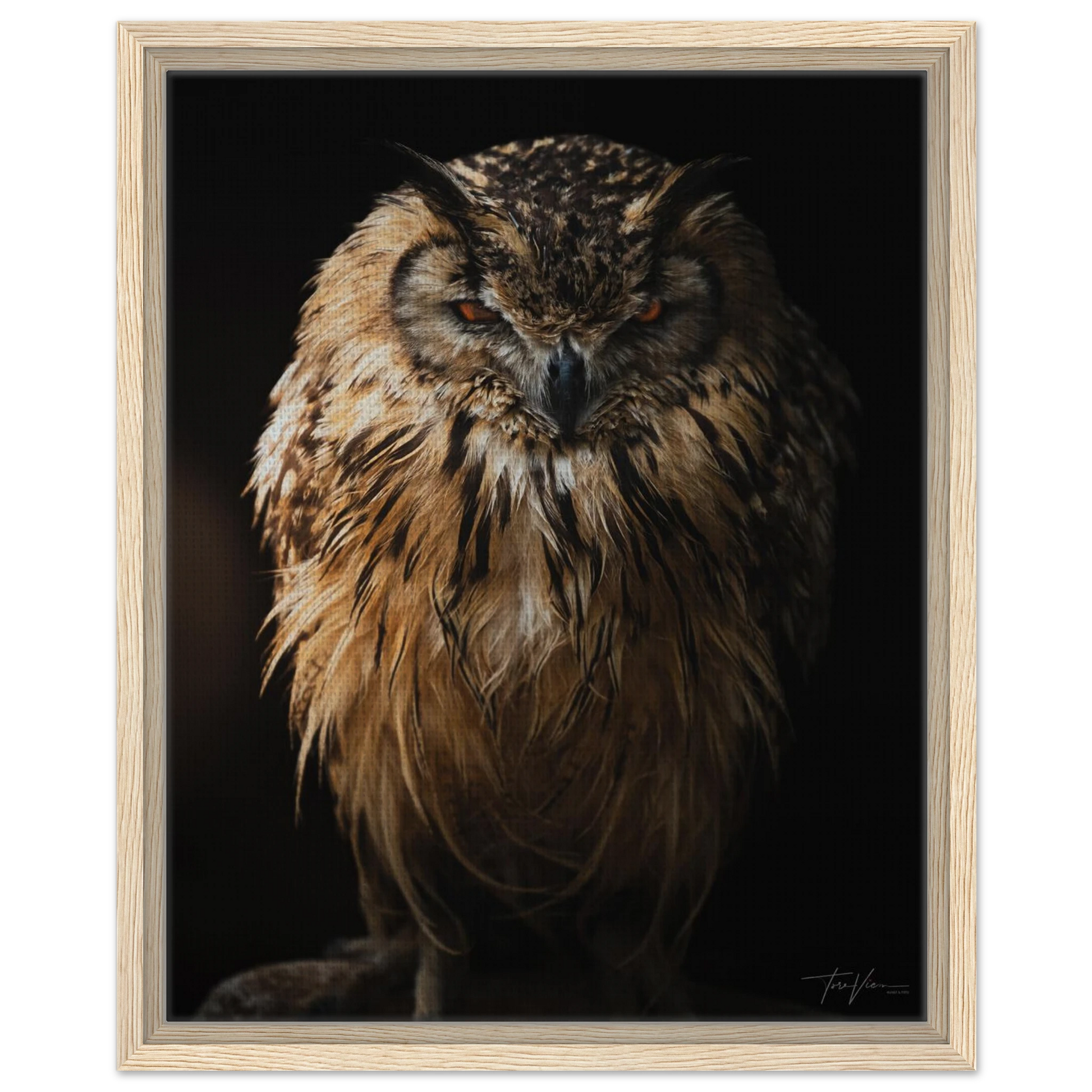 de08f51b-198a-4554-bf8c-d7811293806e