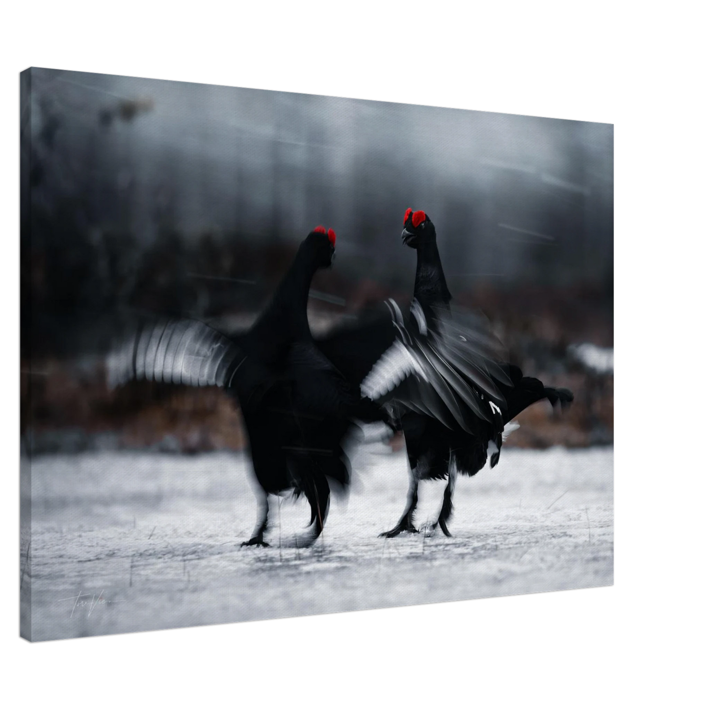 df019b11-5f9c-49bb-ae62-2a75b50729cc