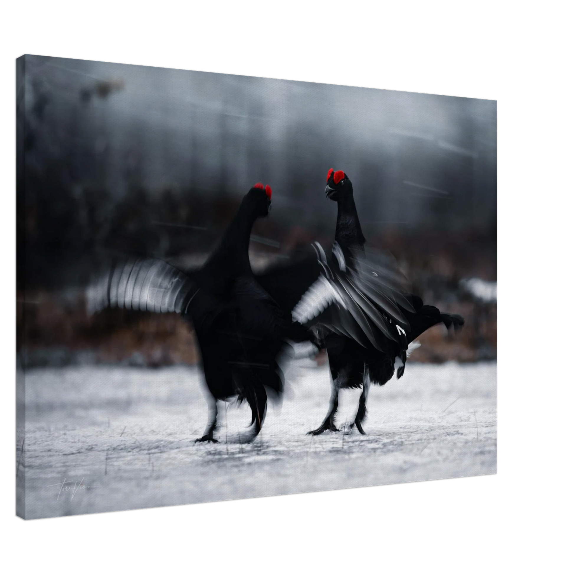 df019b11-5f9c-49bb-ae62-2a75b50729cc