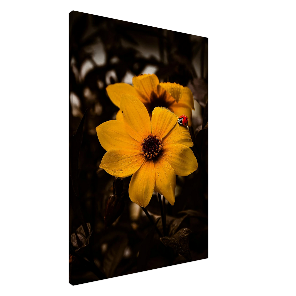 df278b9e-f75f-4ebb-85b8-81d3eb56d449