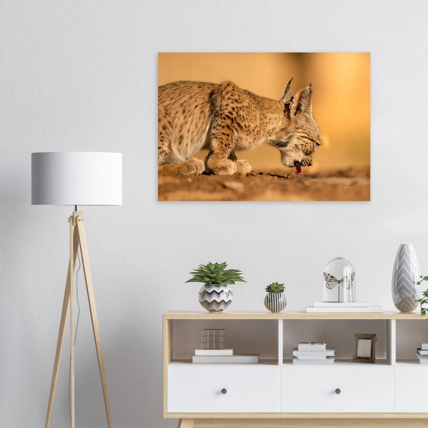 df505165-2e9b-4a0d-8e63-0535135a501a